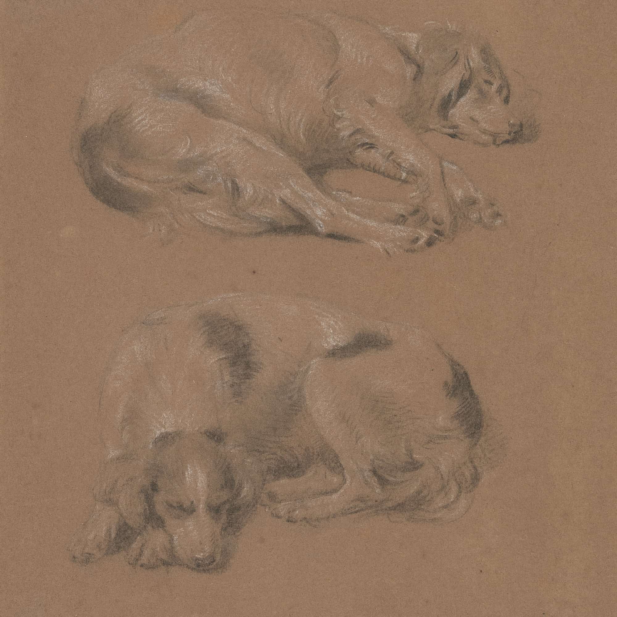Studies Of Dogs Lying Down by James Ward - Image 4