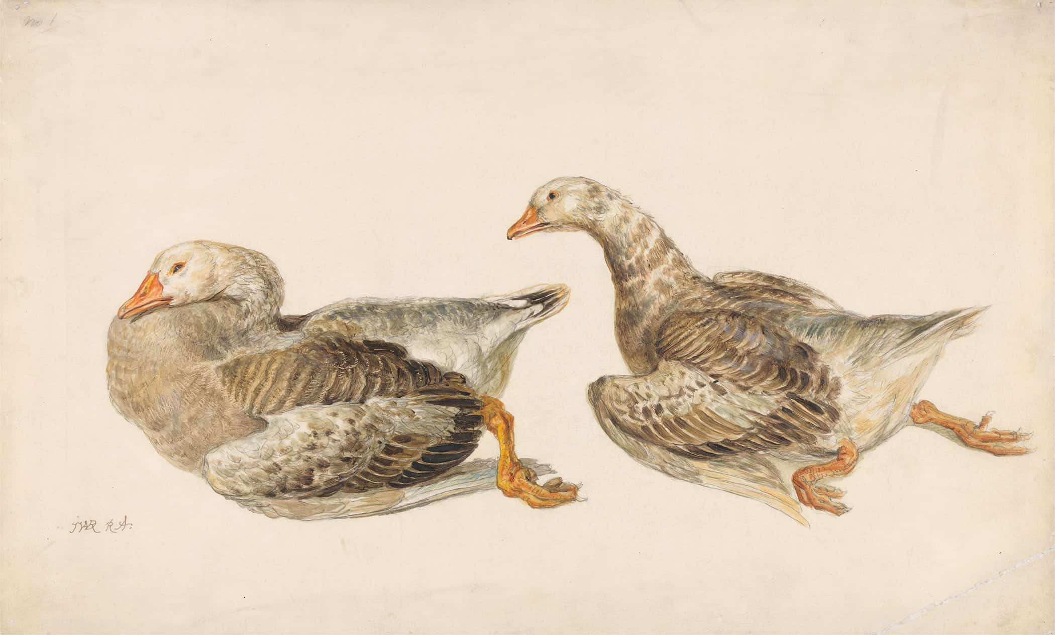 Studies Of Geese by James Ward - Image 2