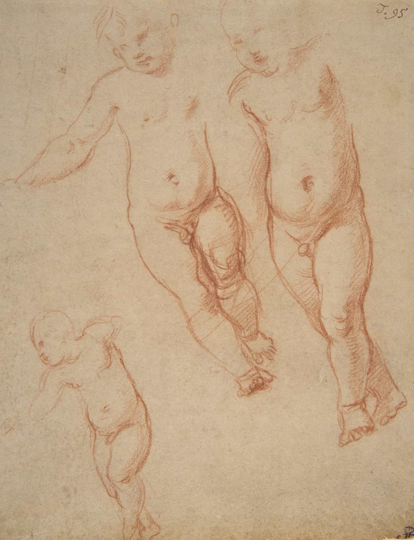 Studies Of The Christ Child by Raphael
