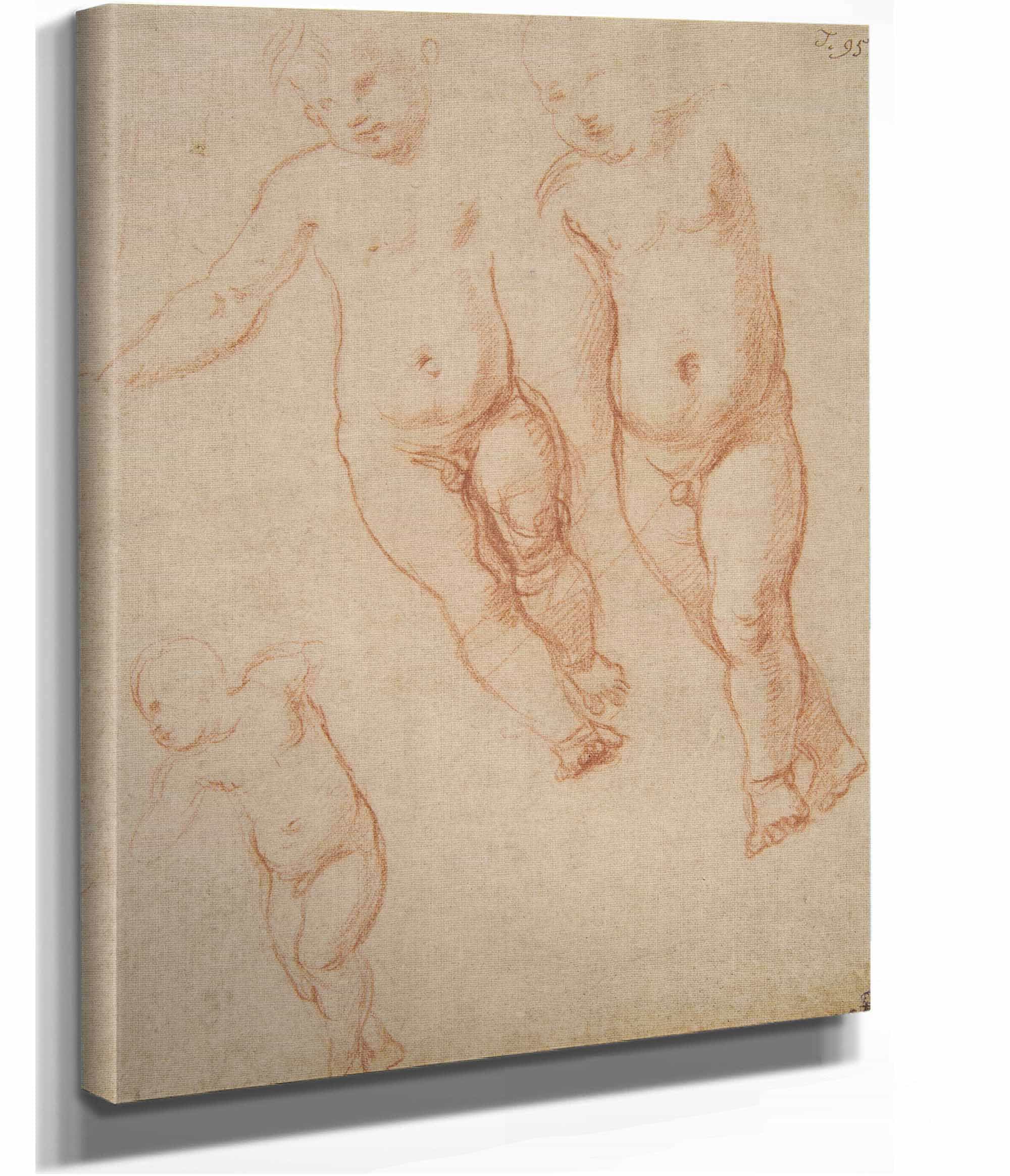 Studies Of The Christ Child by Raphael - Image 2