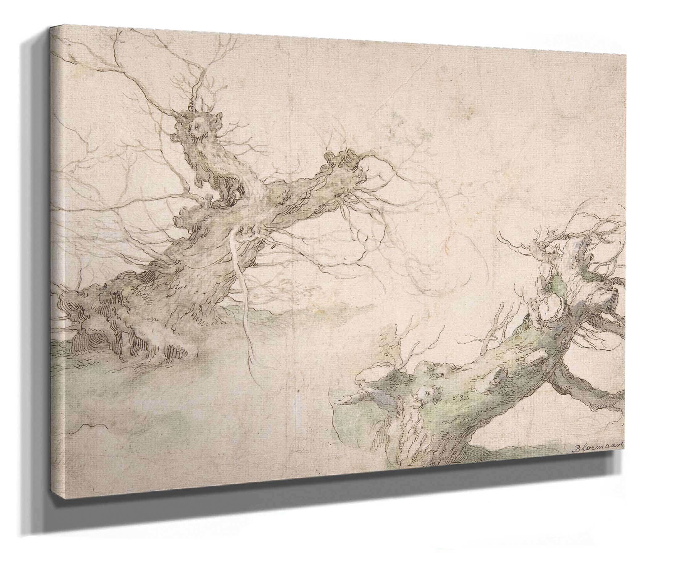 Studies Of Two Pollard Willows Th Century by Abraham Bloemaert - Image 2