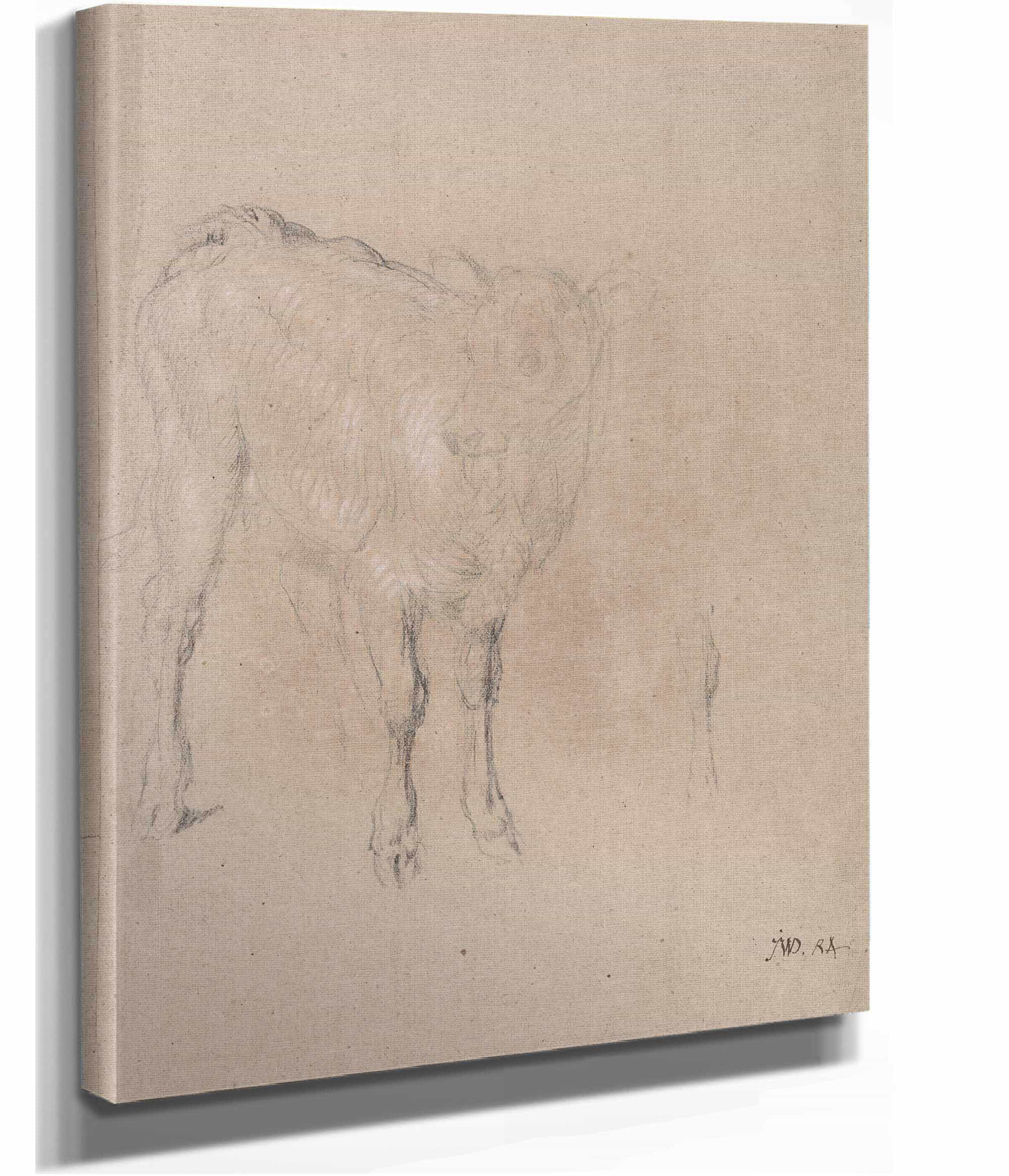 Study Of A Calf by James Ward - Image 2