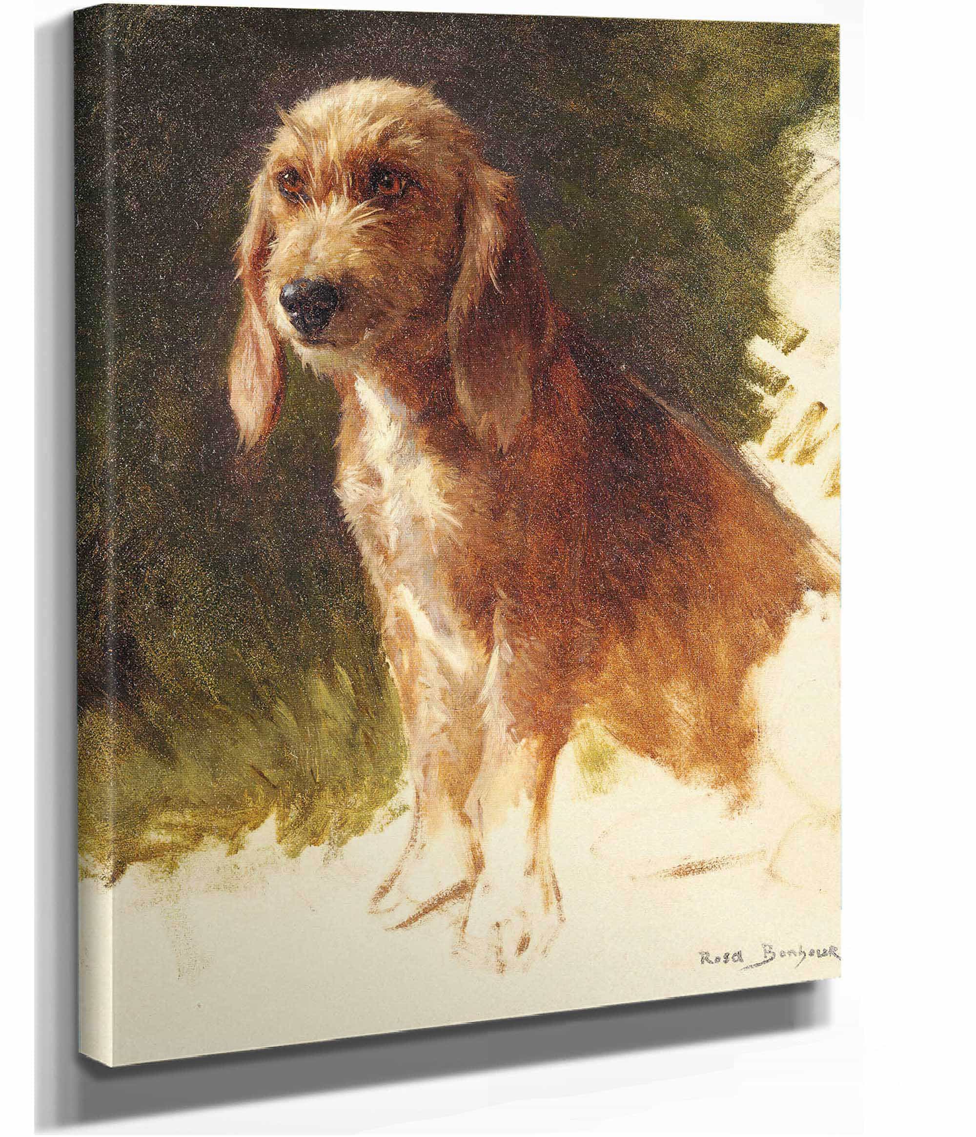 Study Of A Dog S by Rosa Bonheur - Image 2