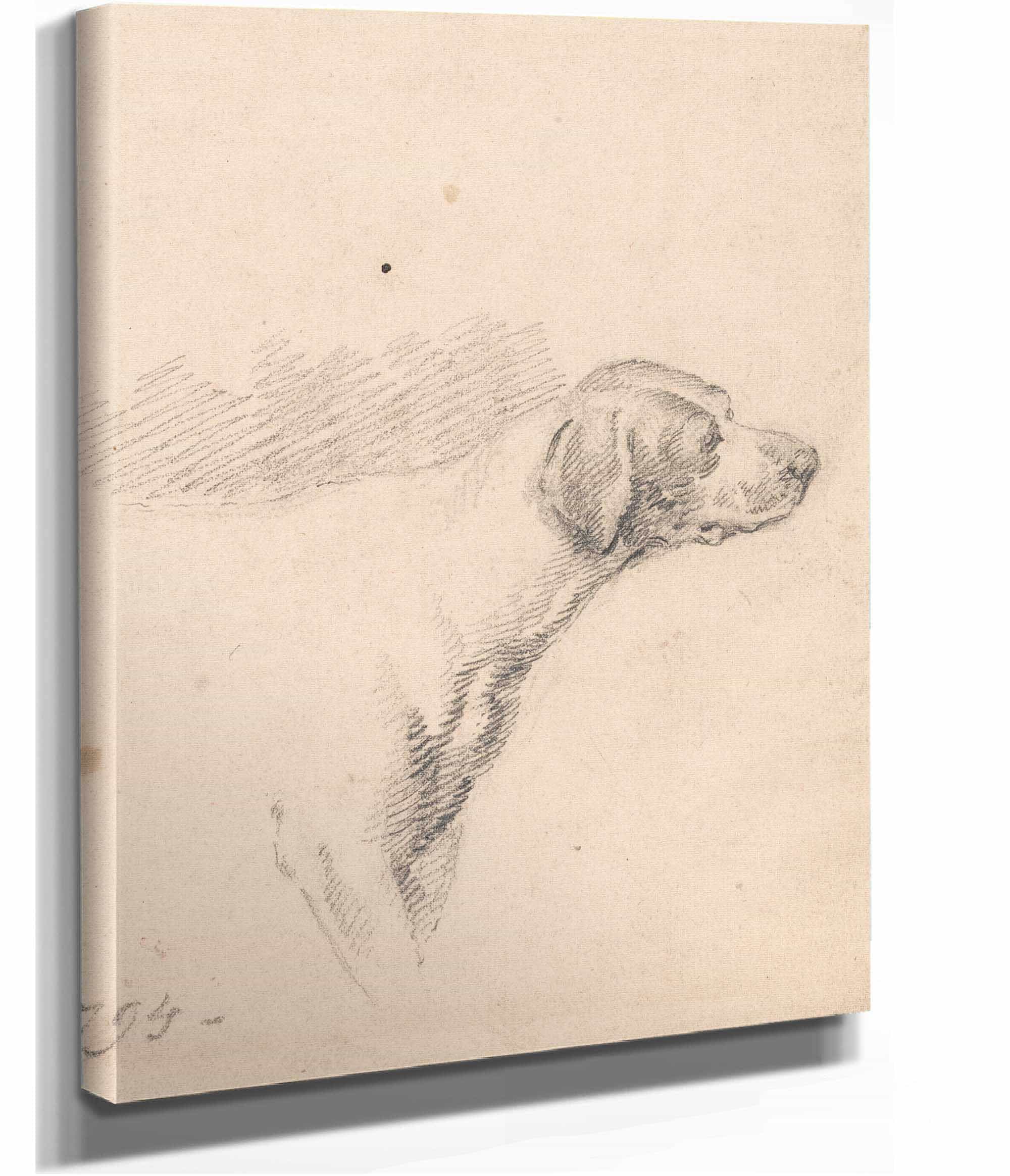 Study Of A Hound Head And Shoulders Facing Right by George Morland - Image 2