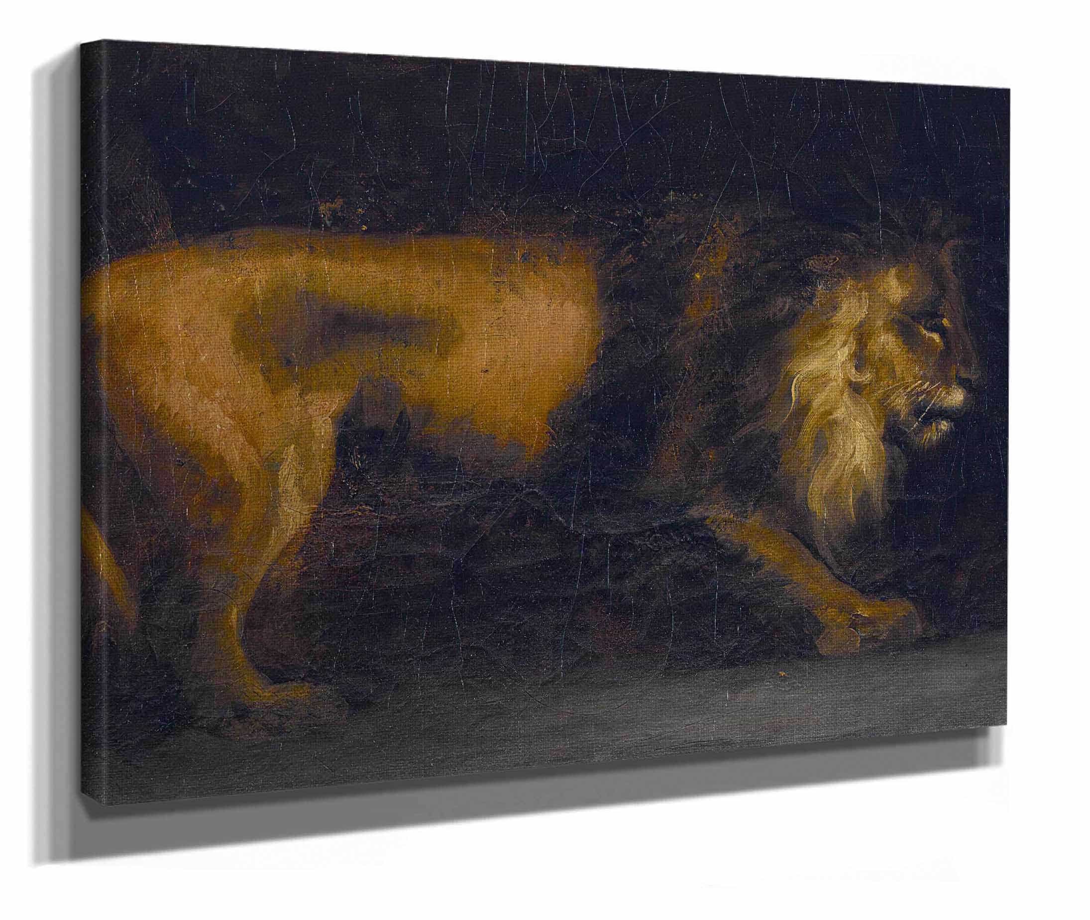 Study Of A Lion by Theodore Gericault - Image 2