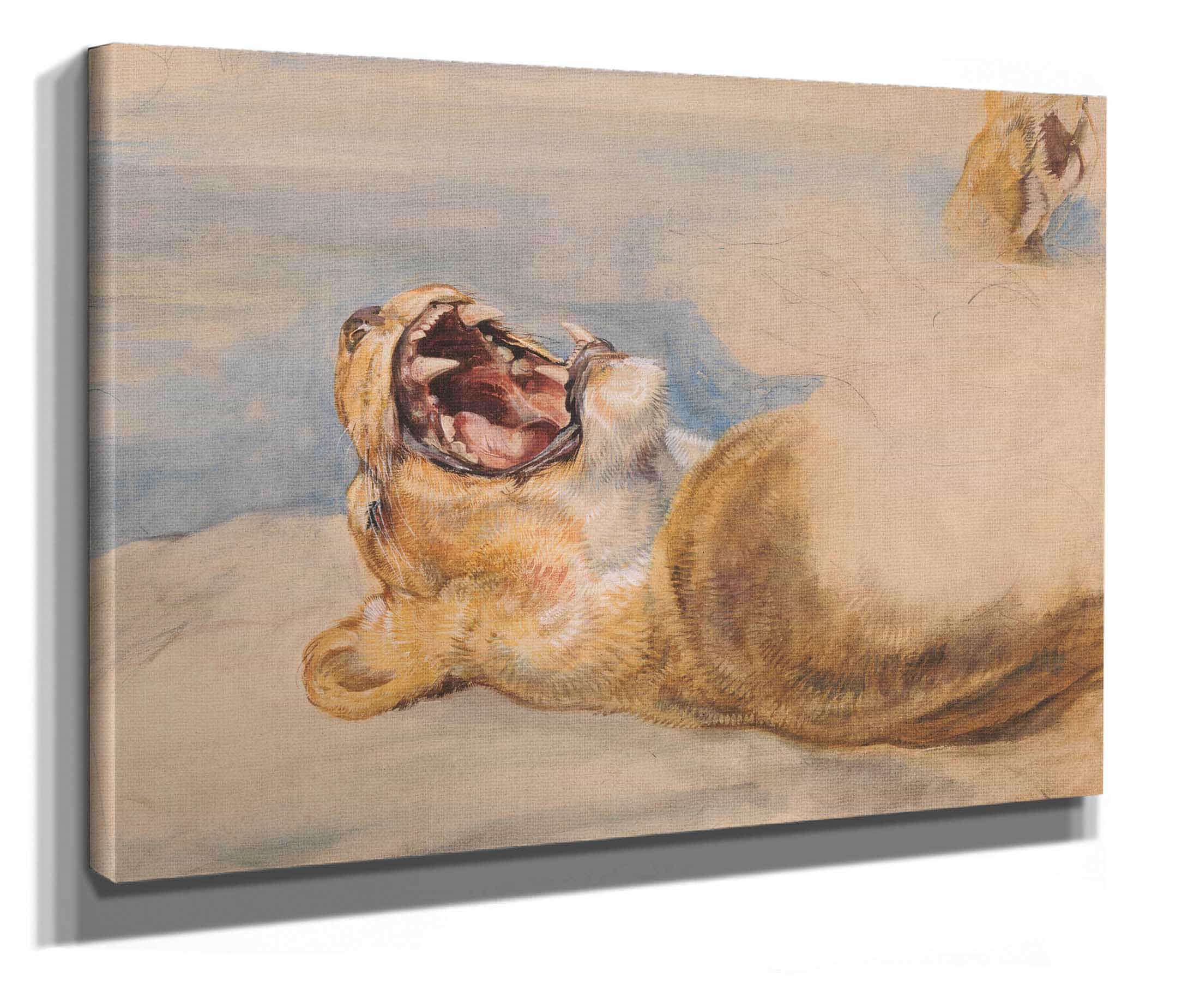 Study Of A Lioness by John Frederick Lewis - Image 2