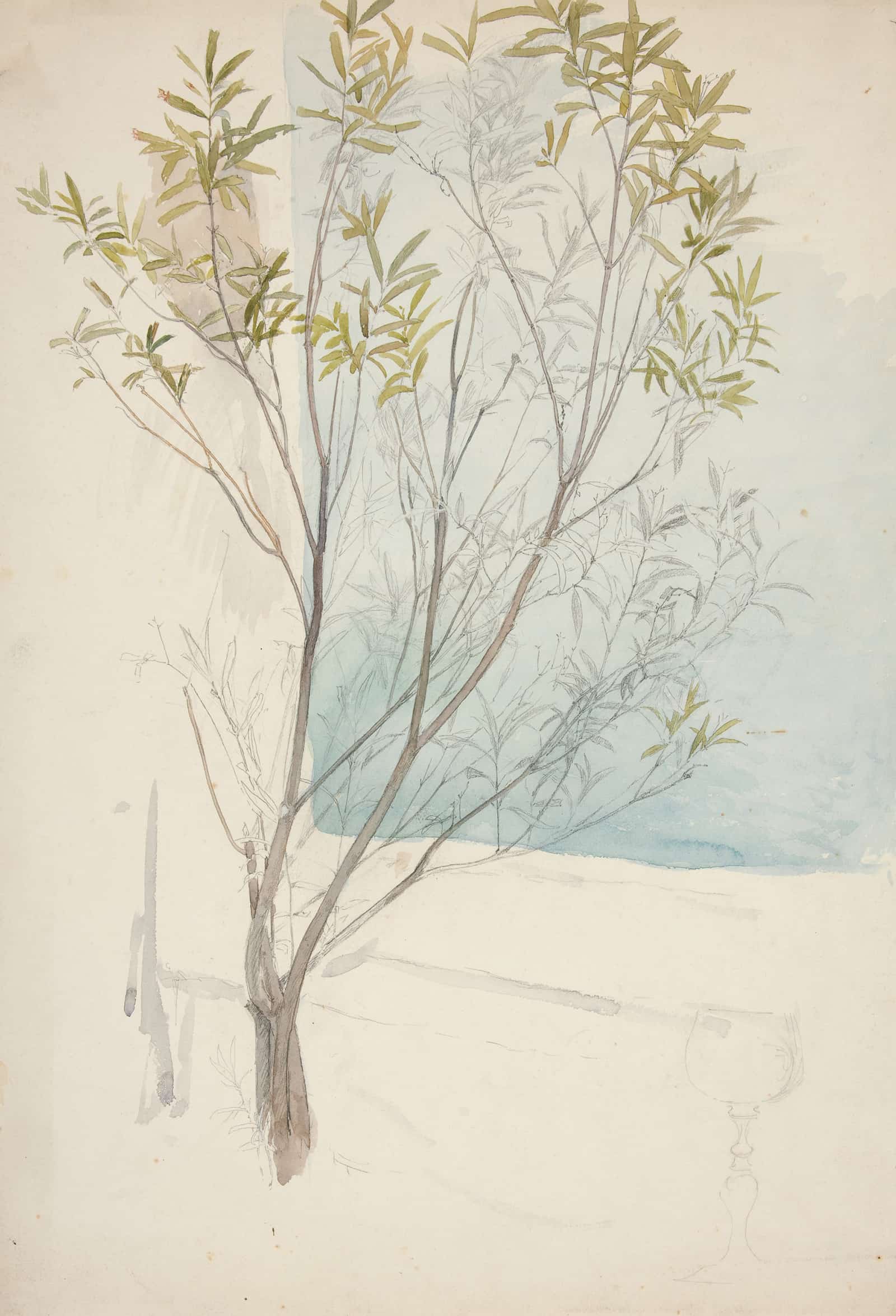 Study Of A Tree by Edwin Austin Abbey - Image 2
