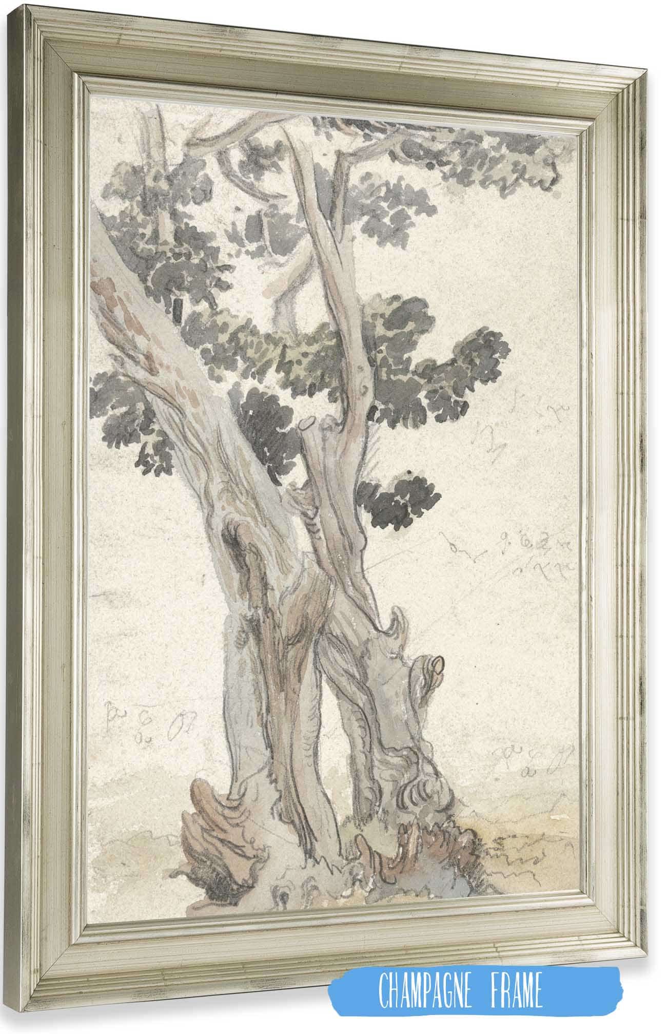 Study Of A Tree by James Ward