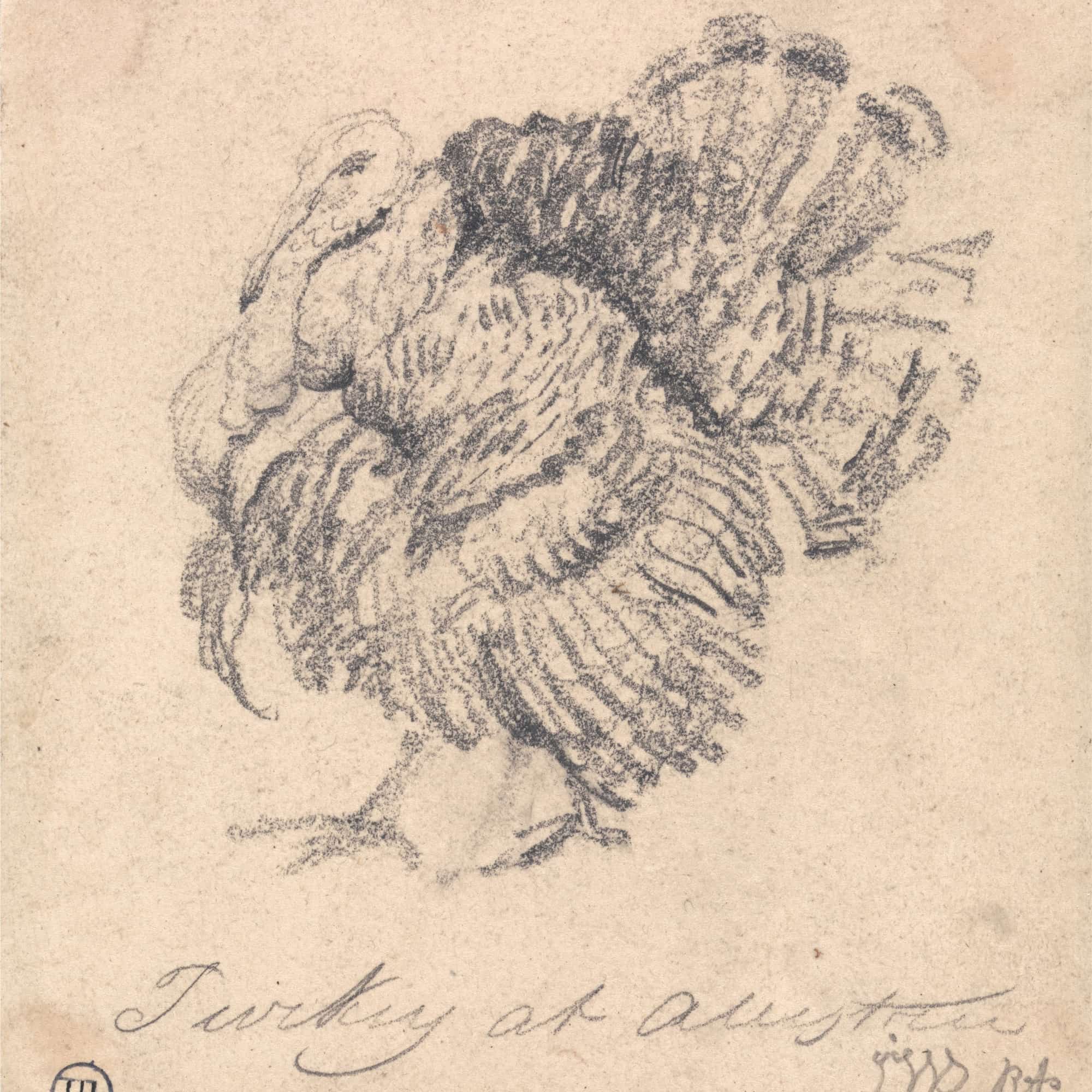 Study Of A Turkey by James Ward - Image 4