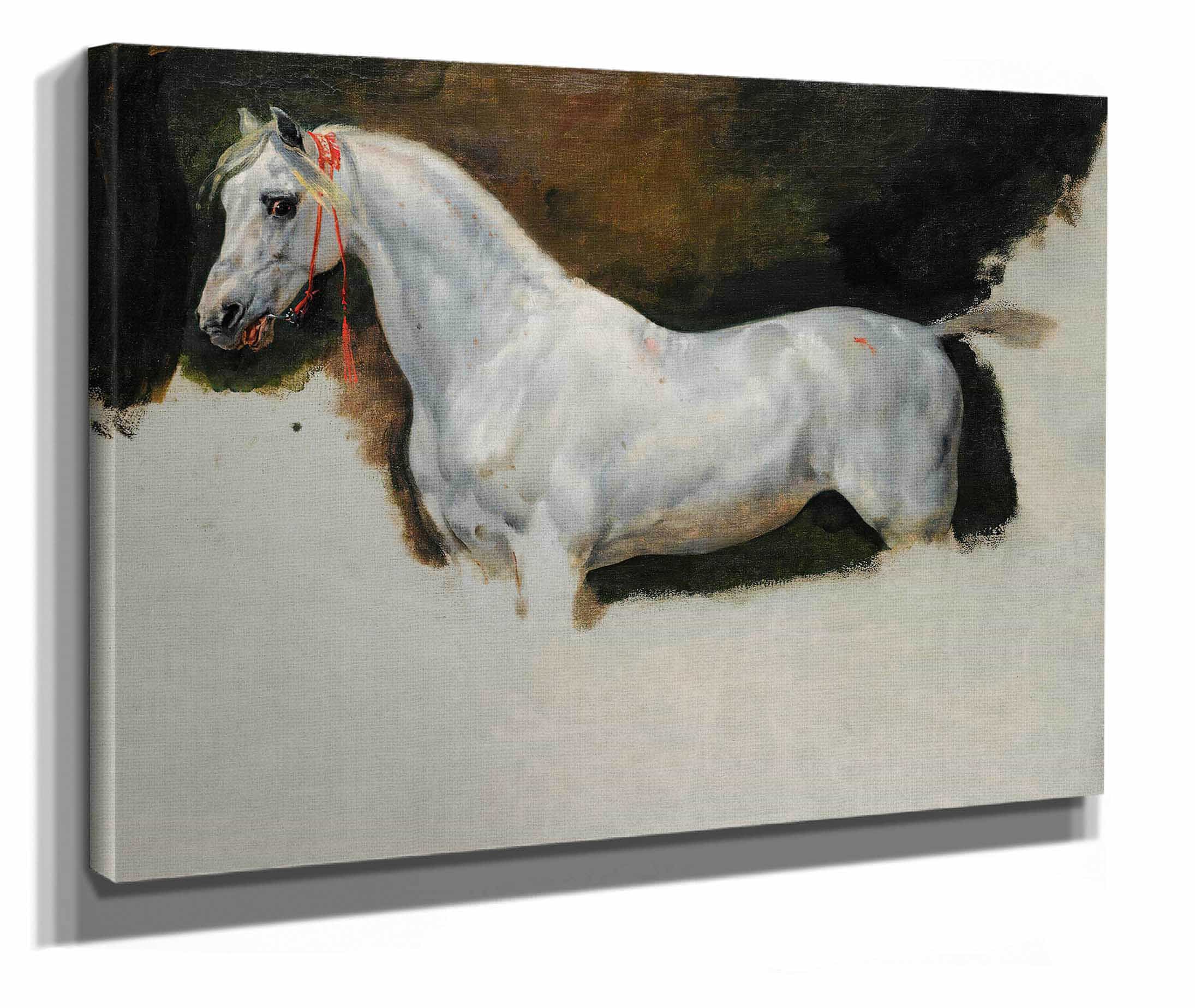 Study Of A White Horse by Horace Vernet - Image 2