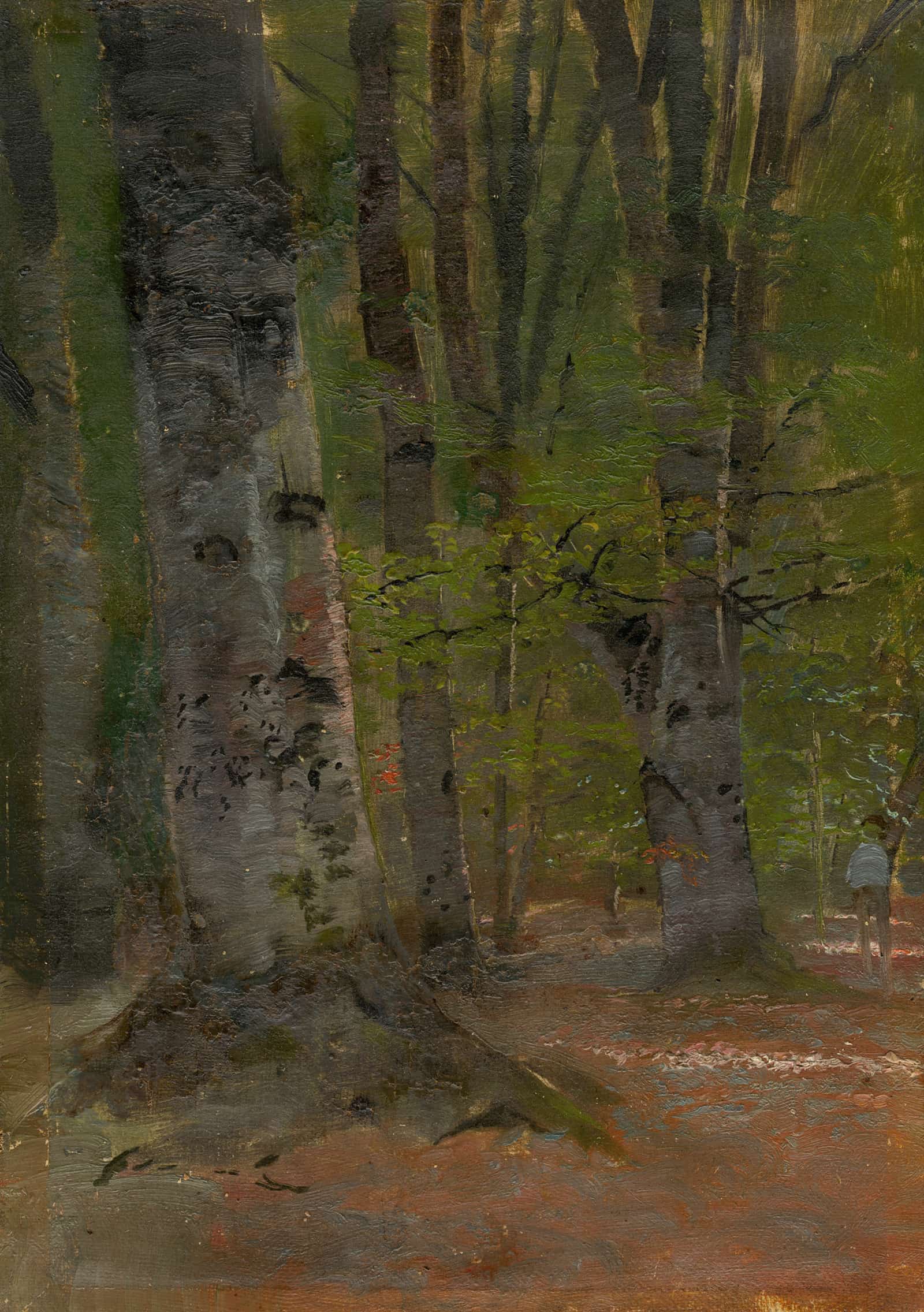 Study Of Forest Interior by Ladislav Mednyanszky
