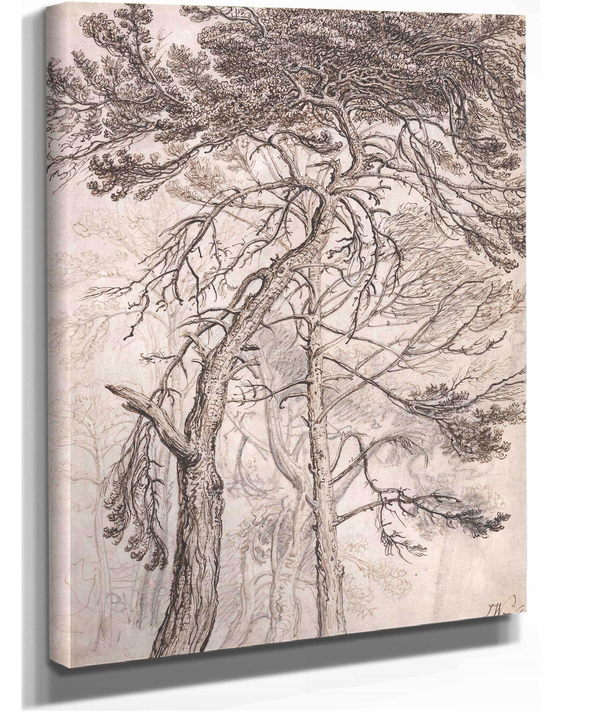 Study Of Trees by James Ward - Image 2
