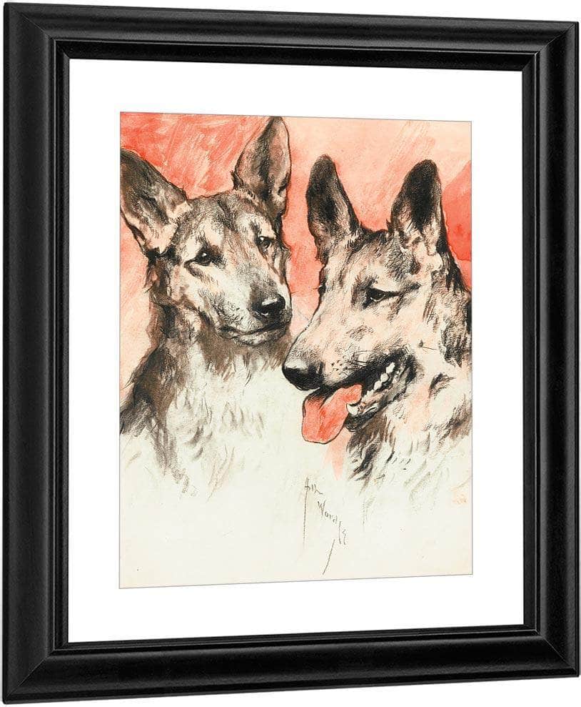 Study Of Two German Shepherds By Arthur Wardle - Image 3