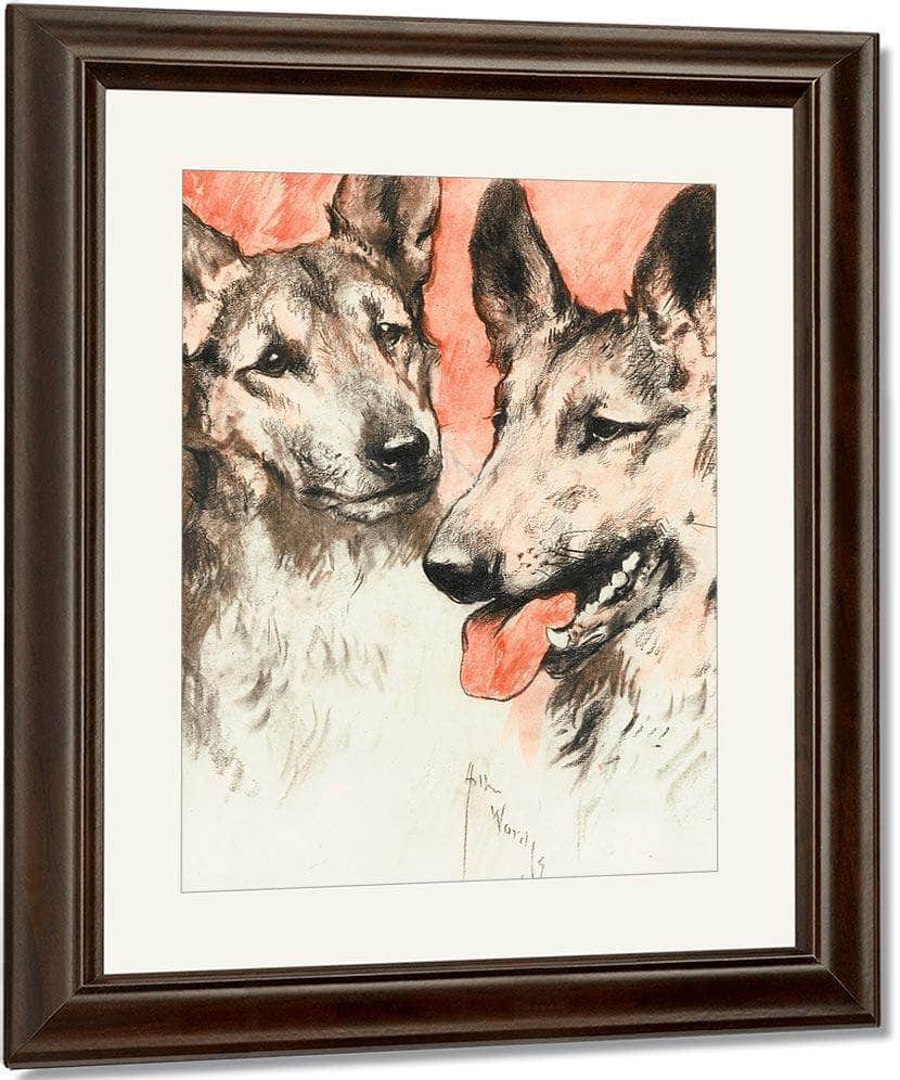 Study Of Two German Shepherds By Arthur Wardle - Image 4
