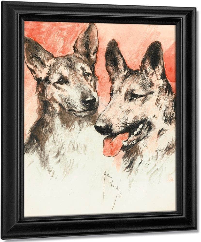 Study Of Two German Shepherds By Arthur Wardle - Image 7