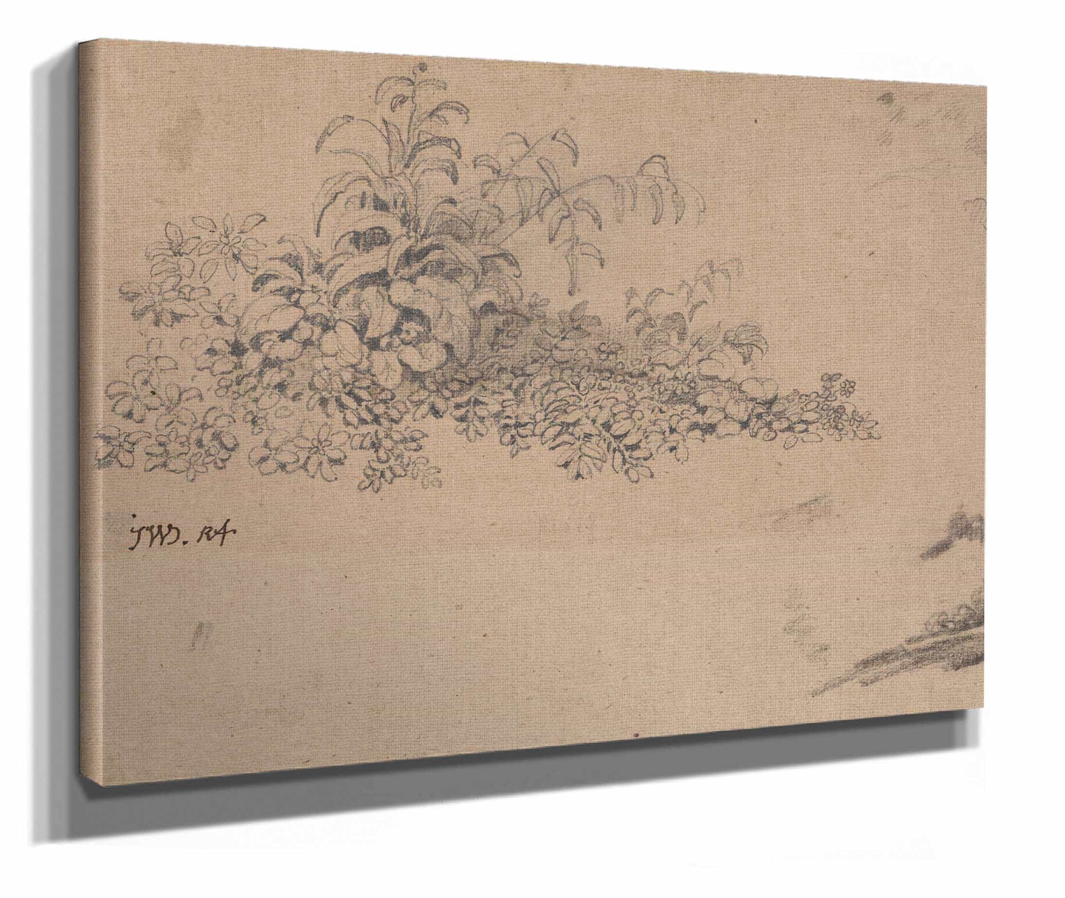 Study Of Undergrowth by James Ward - Image 2