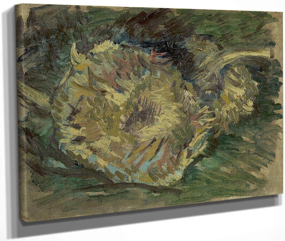 Sunflowers Gone To Seed By Vincent Van Gogh