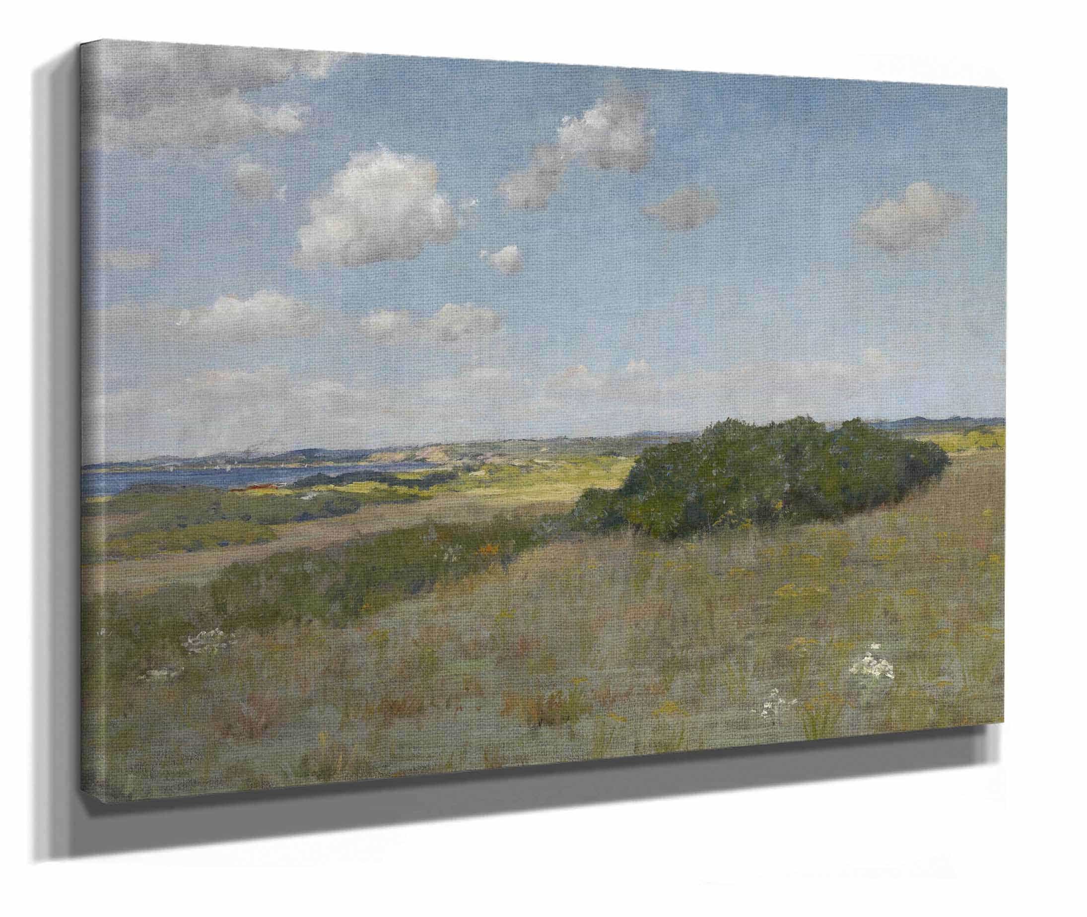 Sunlight And Shadow Shinnecock Hills by William Merritt Chase - Image 2