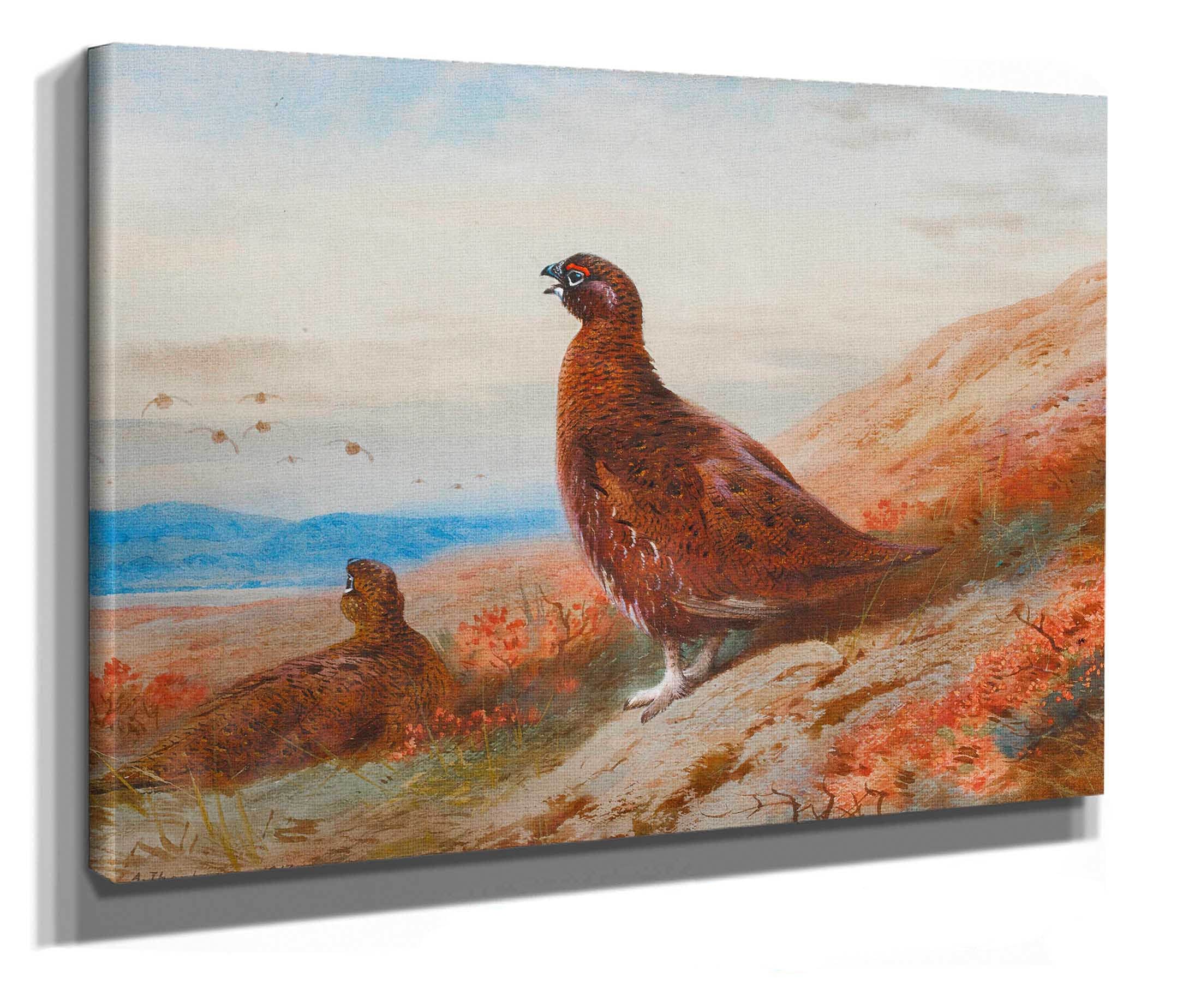 The Challenge by Archibald Thorburn - Image 2