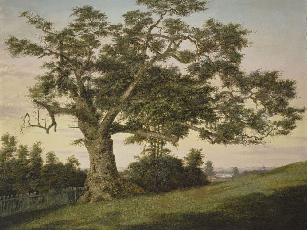 The Charter Oak By Charles De Wolf Brownell - Image 7