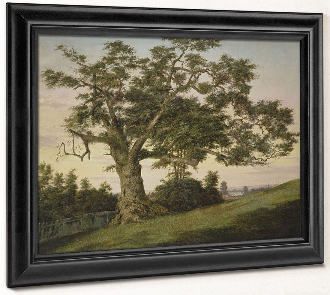 The Charter Oak By Charles De Wolf Brownell - Image 8