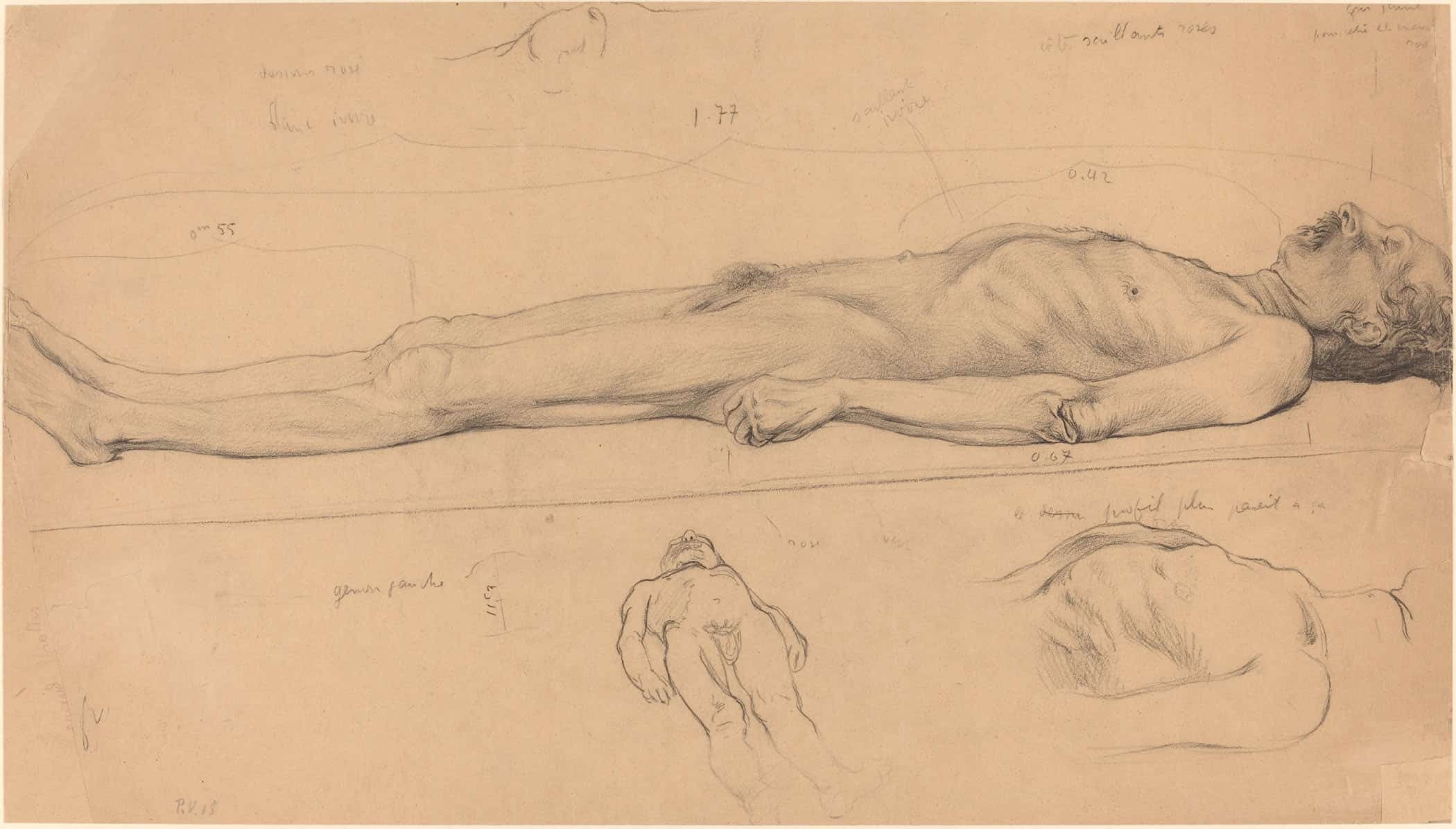 The Corpse Study For The Dead Christ by Felix Vallotton - Image 2