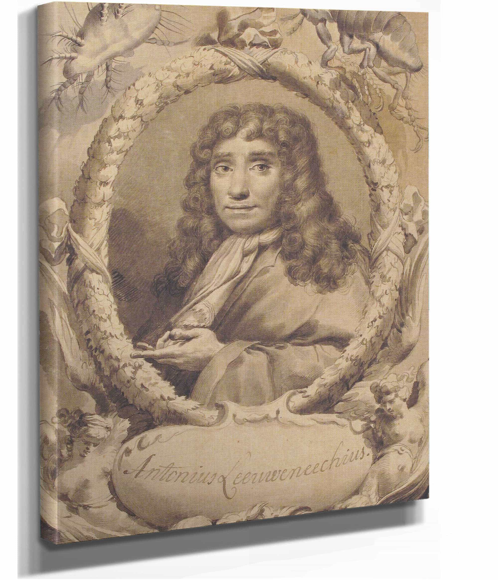 The Dutch Microscopist Anton Van Leeuwenhoek   by Gaetano Gandolfi - Image 2