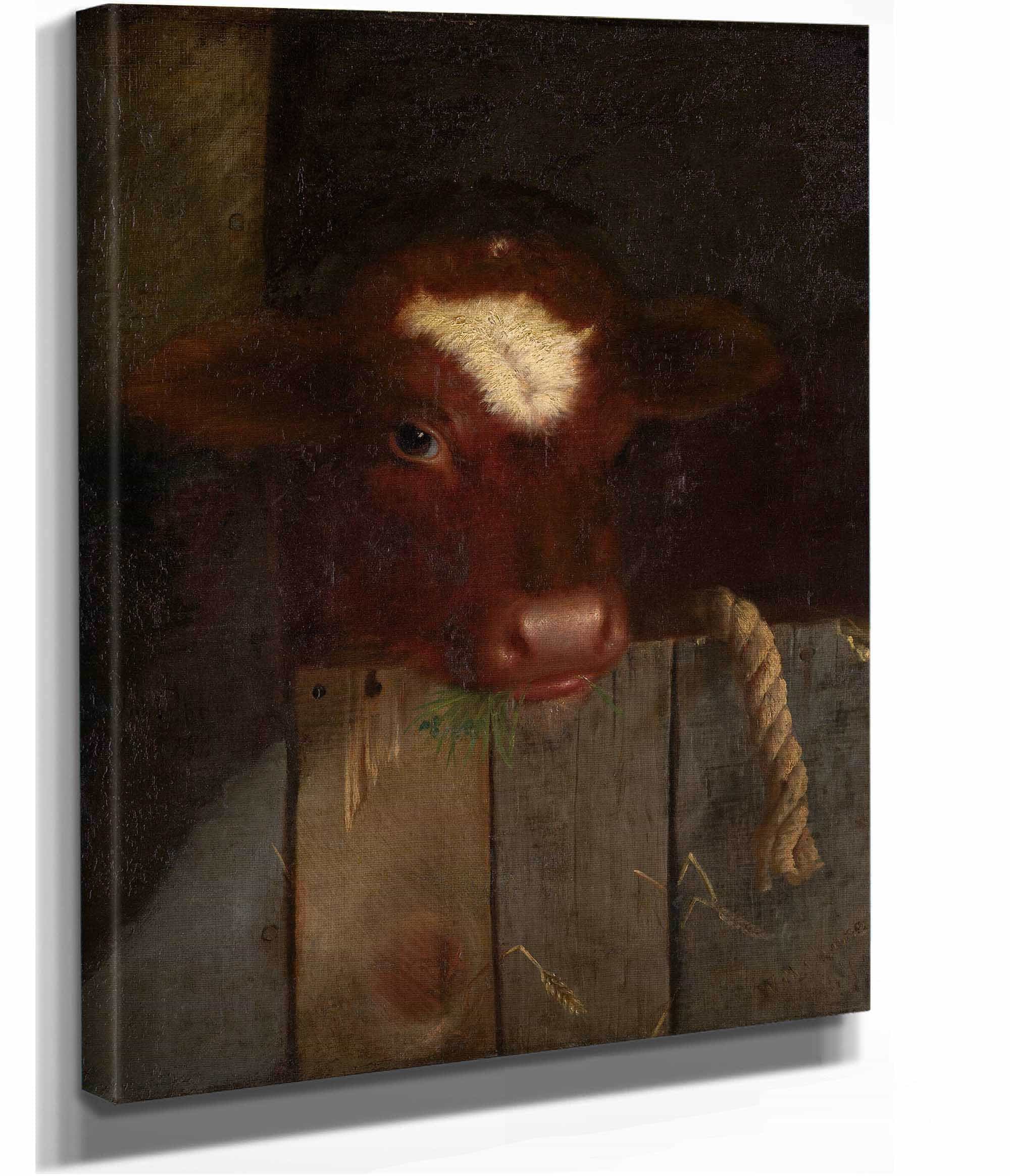 The Family Cow Calfs Head by William Merritt Chase - Image 2