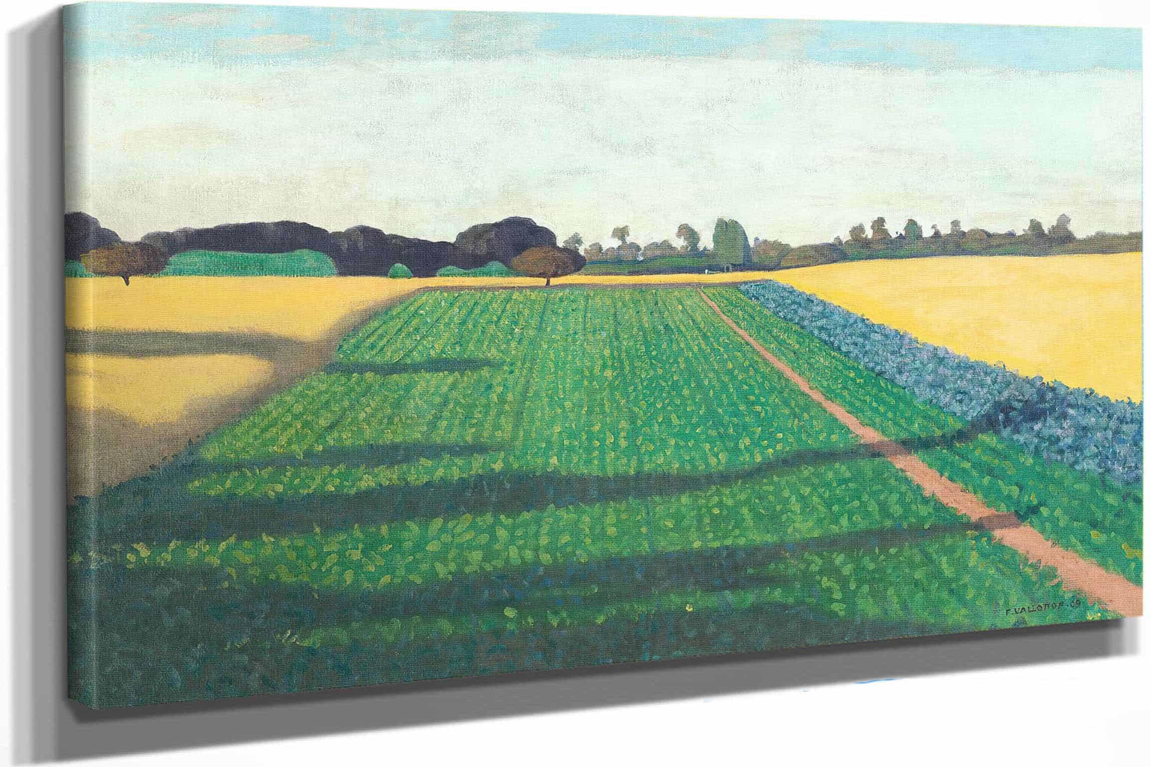 The Fields Plateau Of Red Cross by Felix Vallotton
