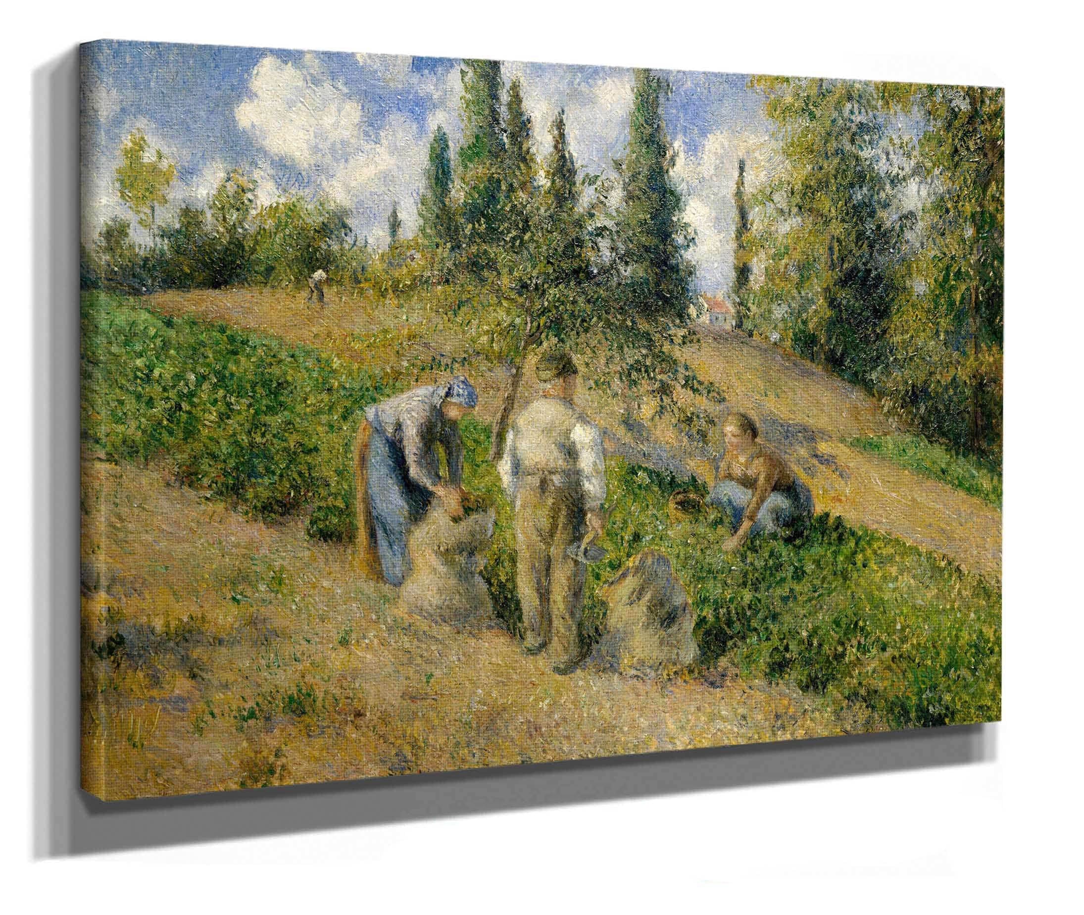 The Harvest Pontoise La Recolte Pontoise by Camille Pissarro - Image 2