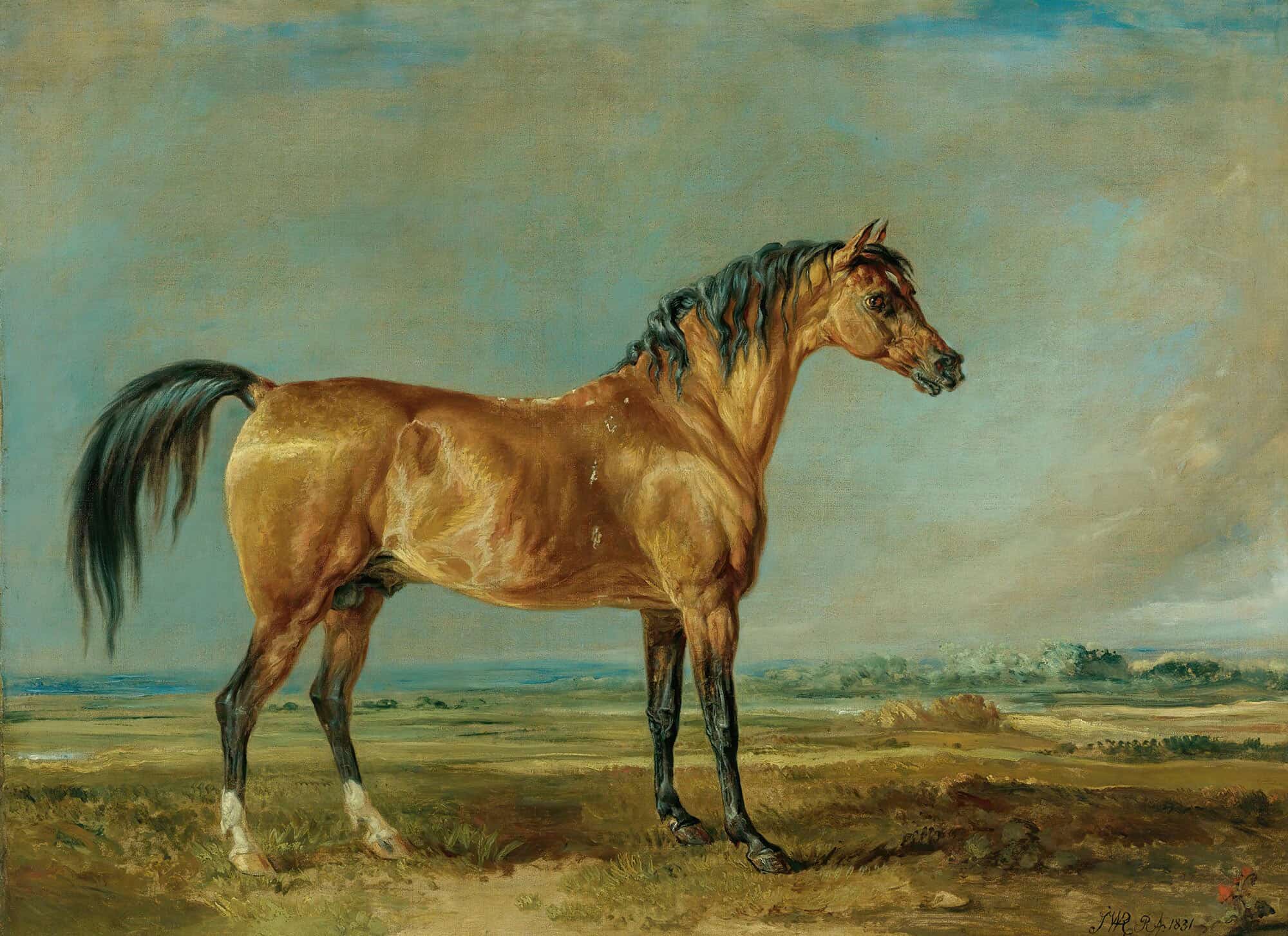 The Marquess Of Londonderrys Arabian Stallion In A Landscape by James Ward