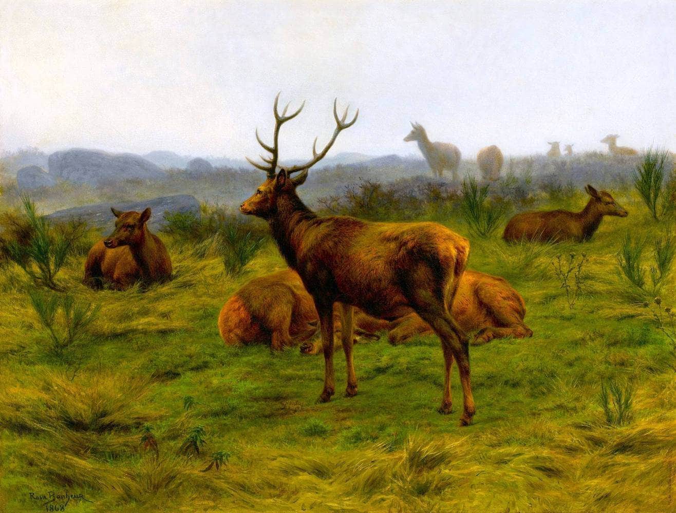 The Monarch Of The Herd Painting Rosa Bonheur Canvas Art - Image 5