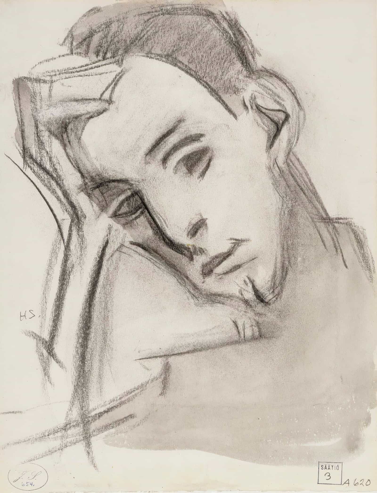 The Nephew by Helene Schjerfbeck