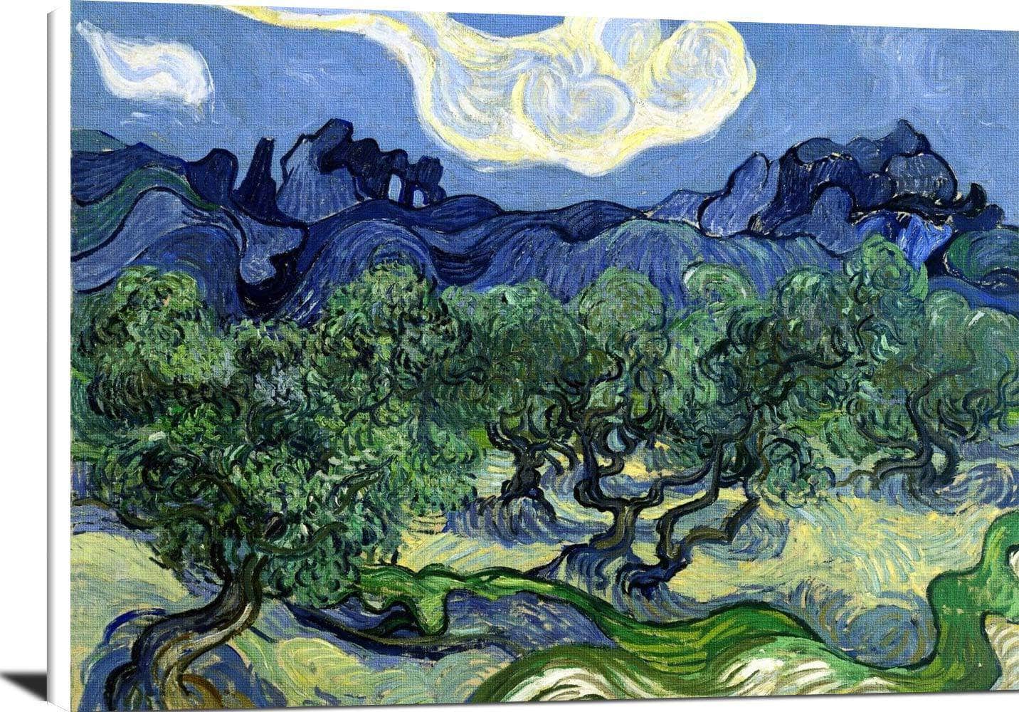 The Olive Trees Painting Vincent Van Gogh Canvas Art