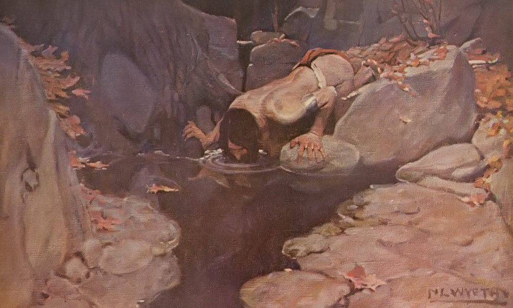 The Solitude Series By NC Wyeth - Image 7