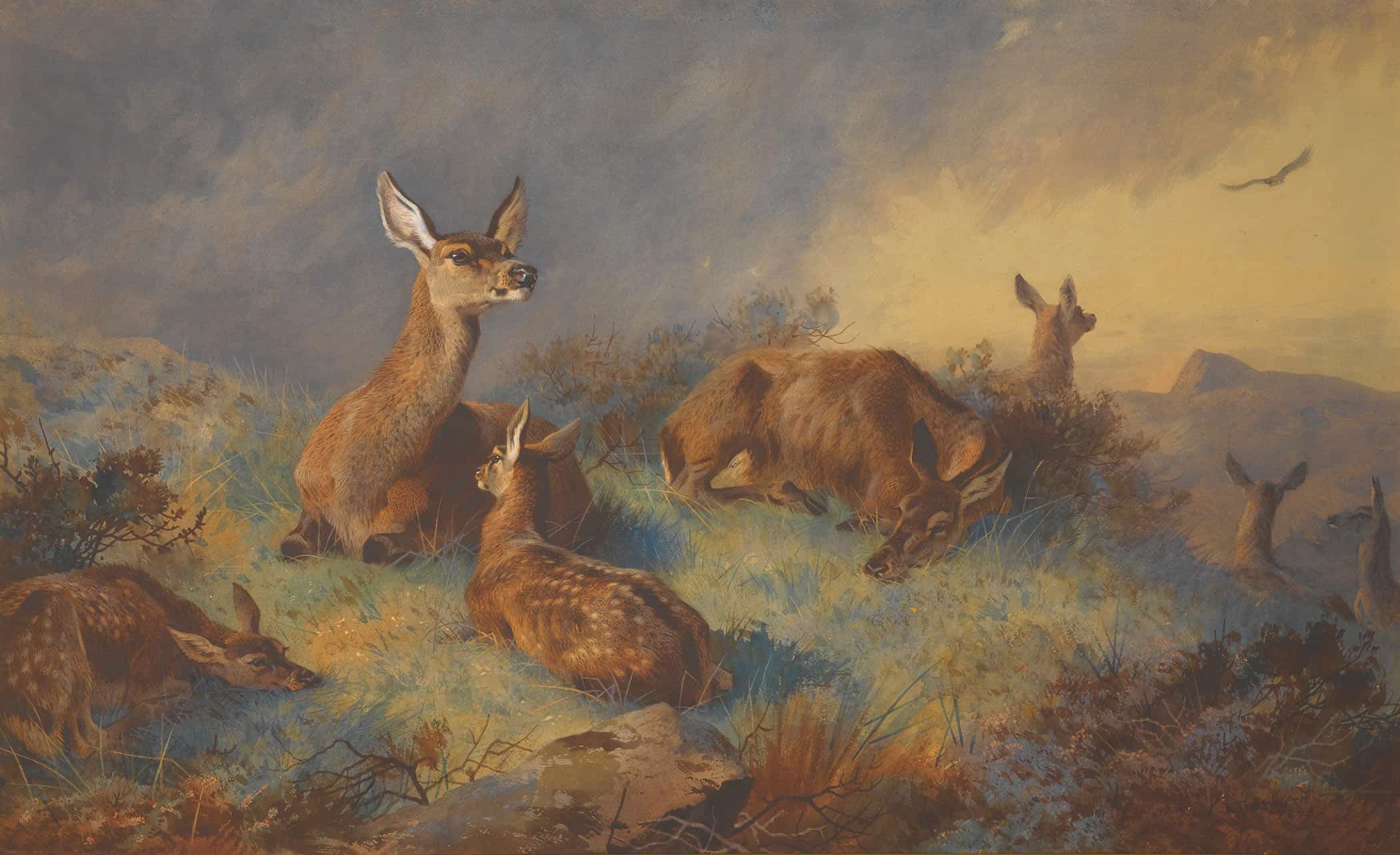 The Watchful Hinds by Archibald Thorburn - Image 2