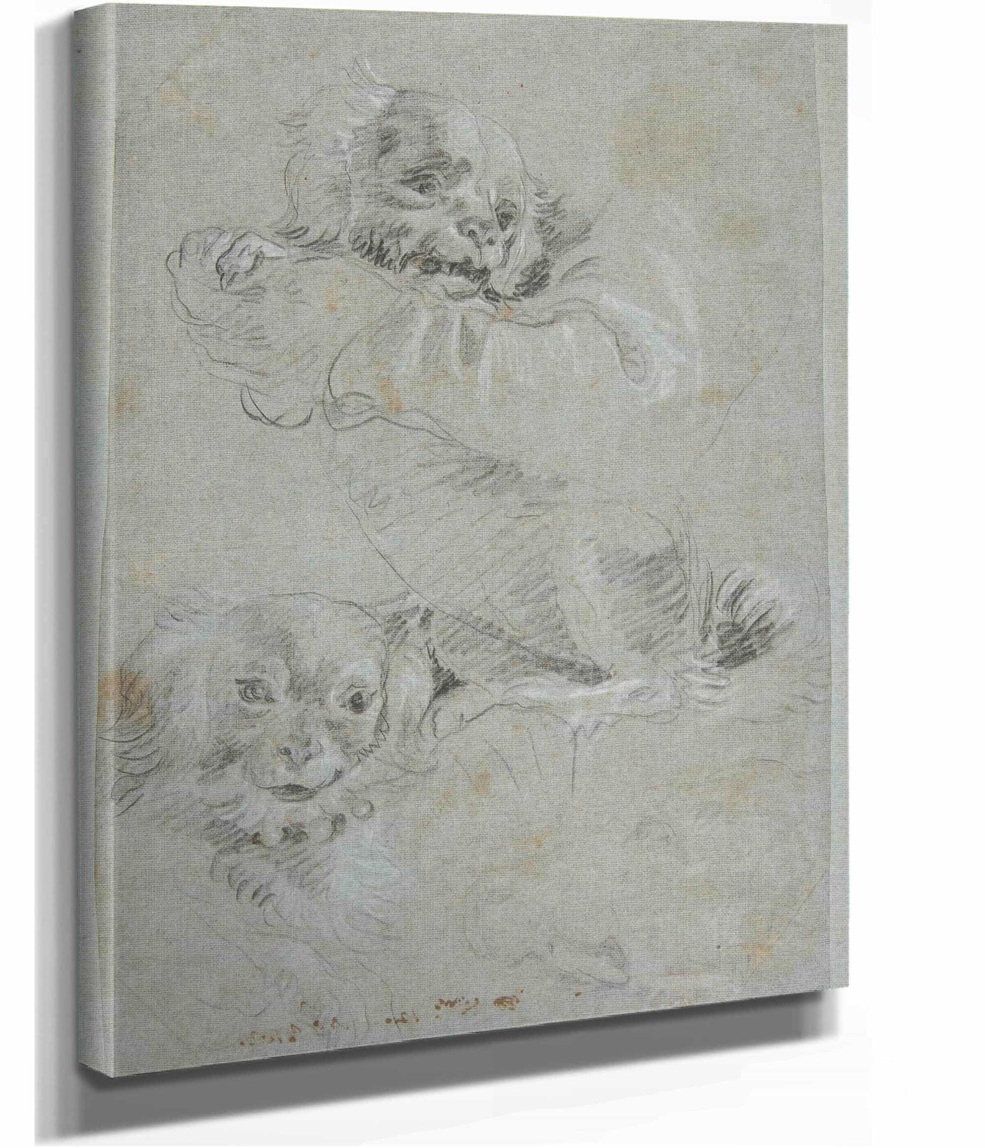 Three Dogs   by Giovanni Domenico Tiepolo - Image 2