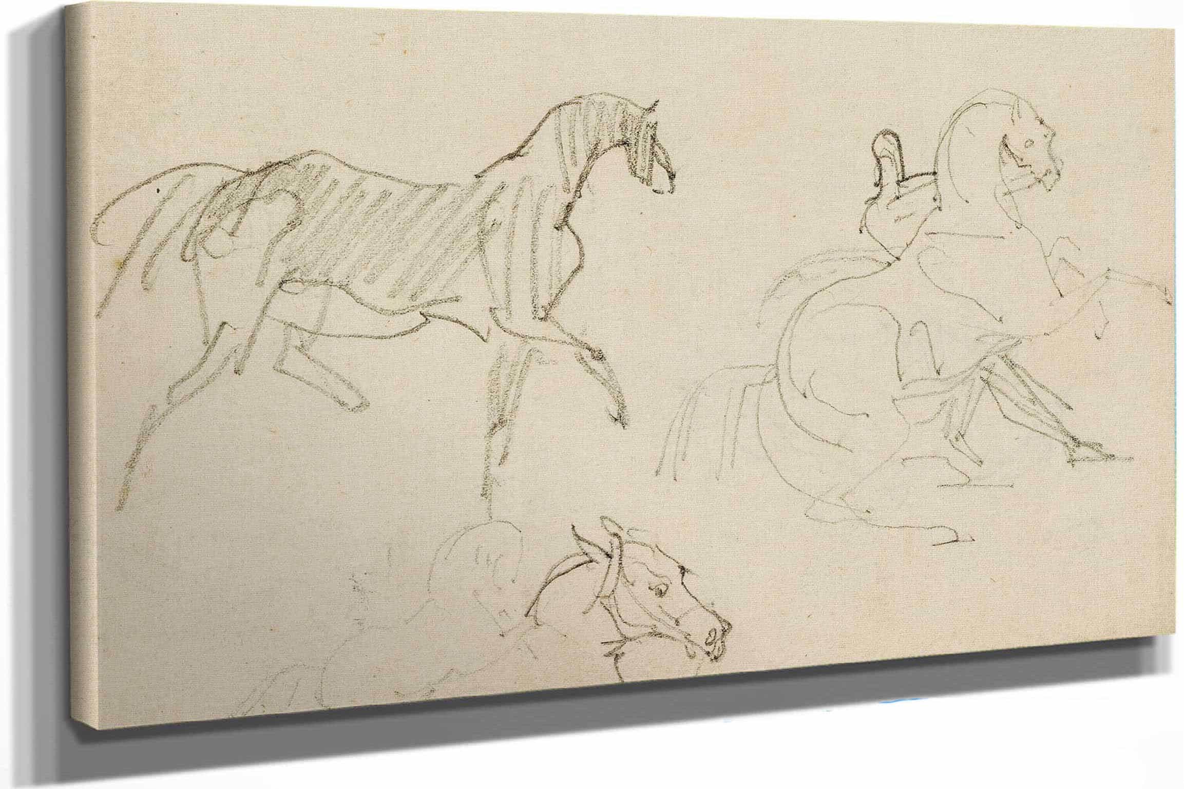 Three Horse Studies by Theodore Gericault - Image 5