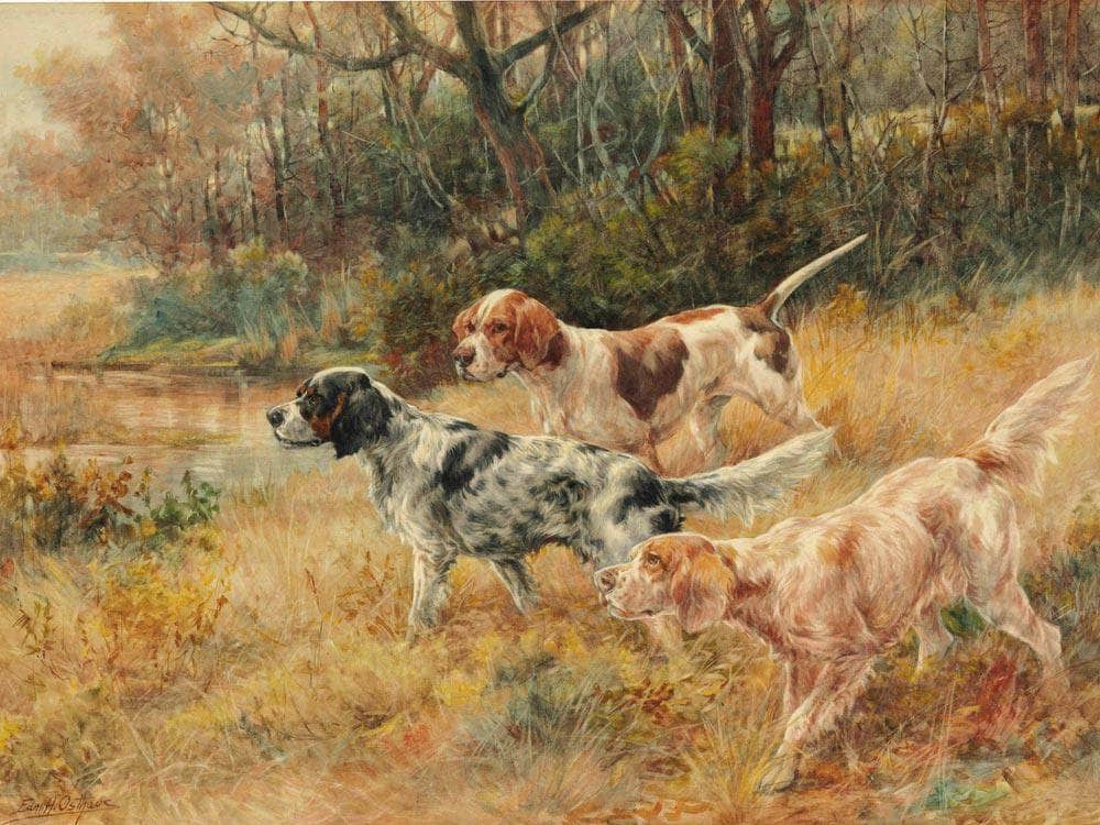 Three Pointers In A Field By Edmund Henry Osthaus - Image 7