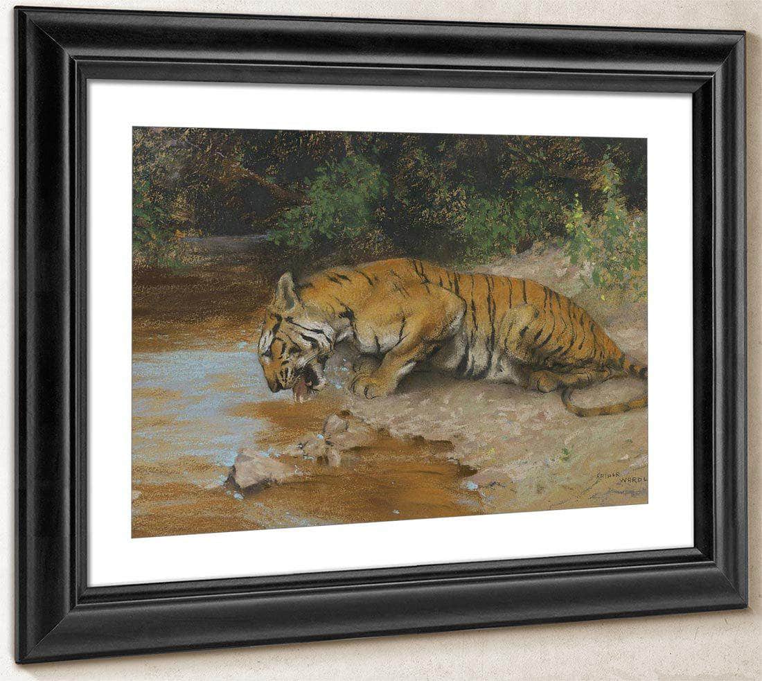 Tiger Drinking By Arthur Wardle - Image 4
