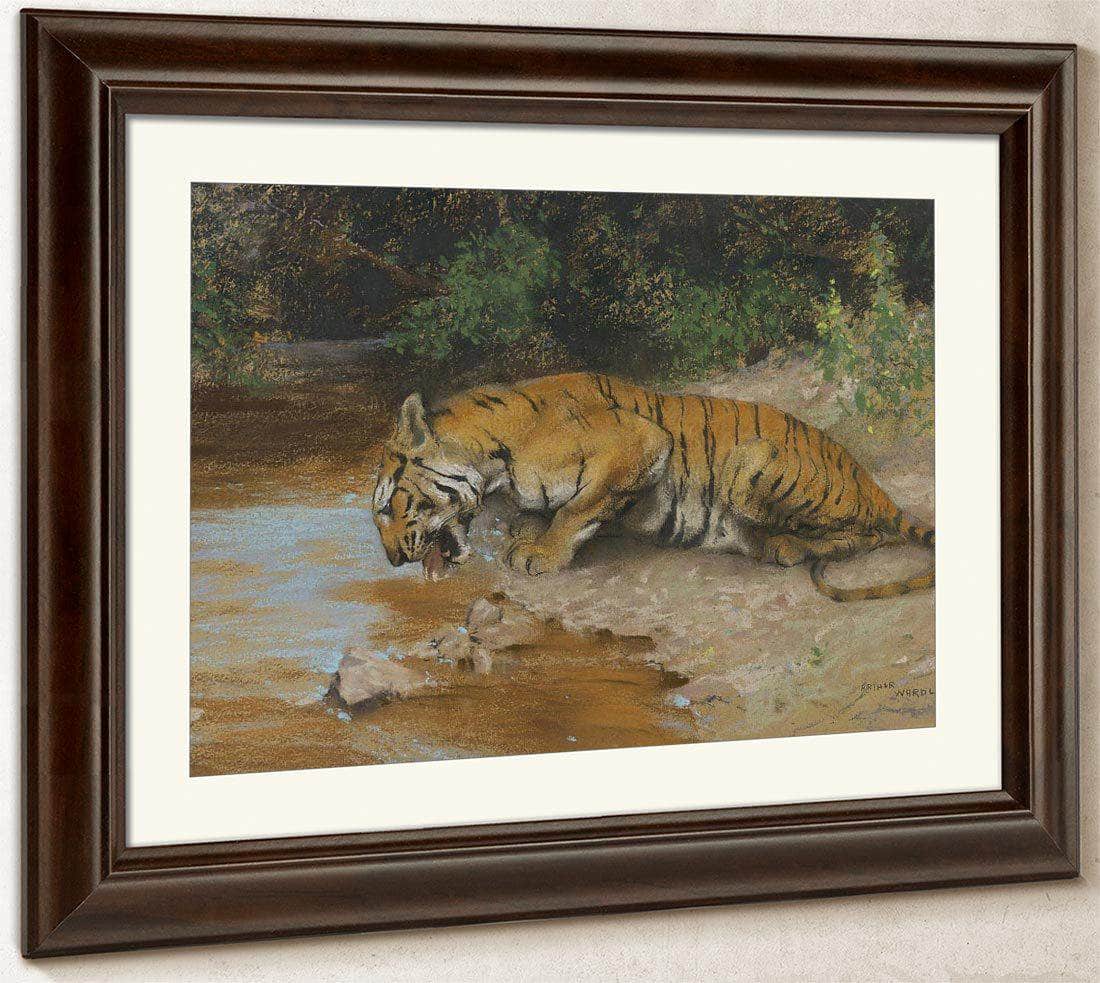 Tiger Drinking By Arthur Wardle - Image 5