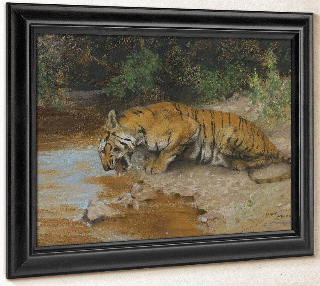 Tiger Drinking By Arthur Wardle - Image 8