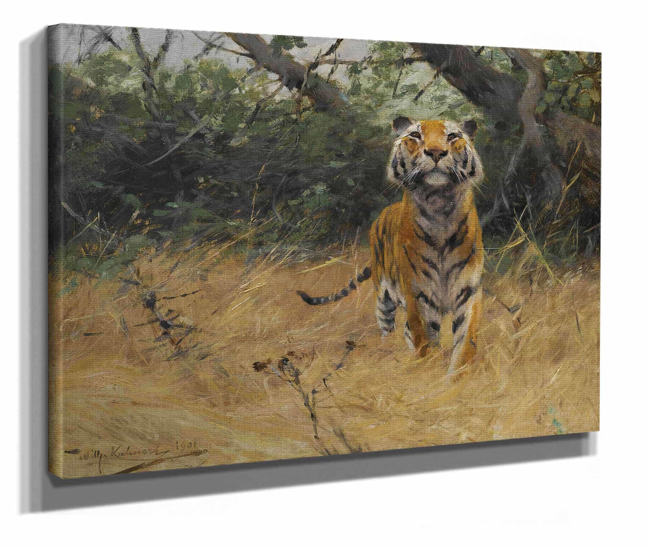 Tiger On The Watch by Wilhelm Kuhnert - Image 2
