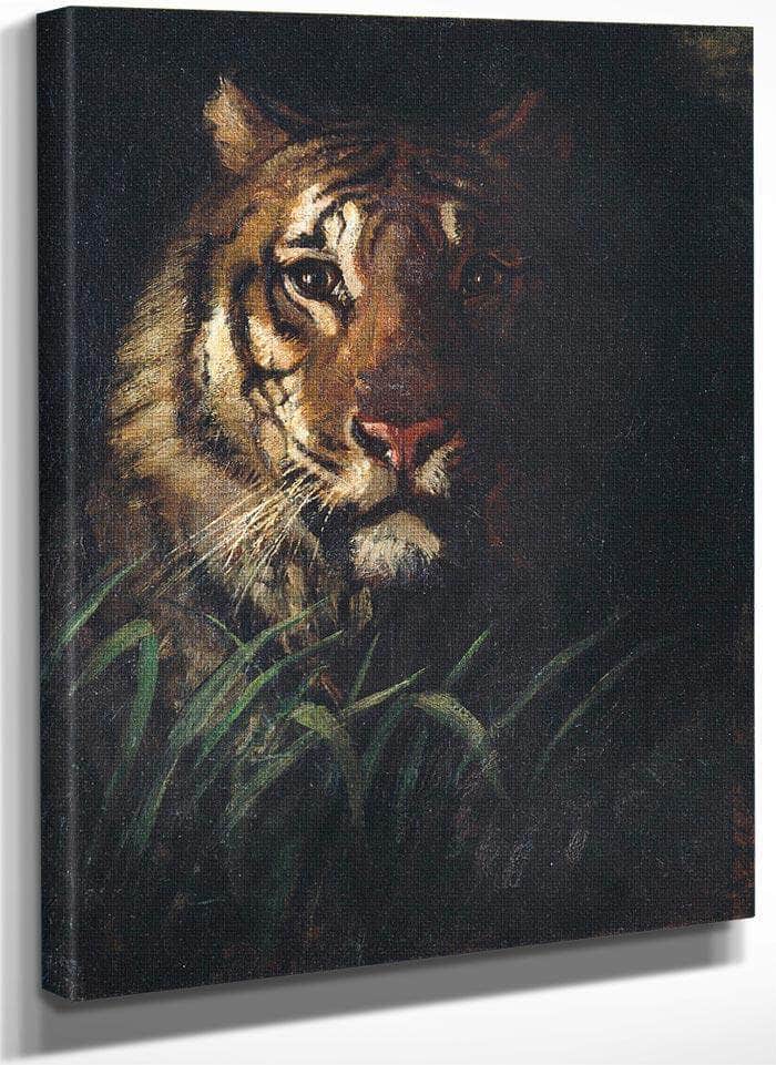 Tiger's Head By Abbott Handerson Thayer