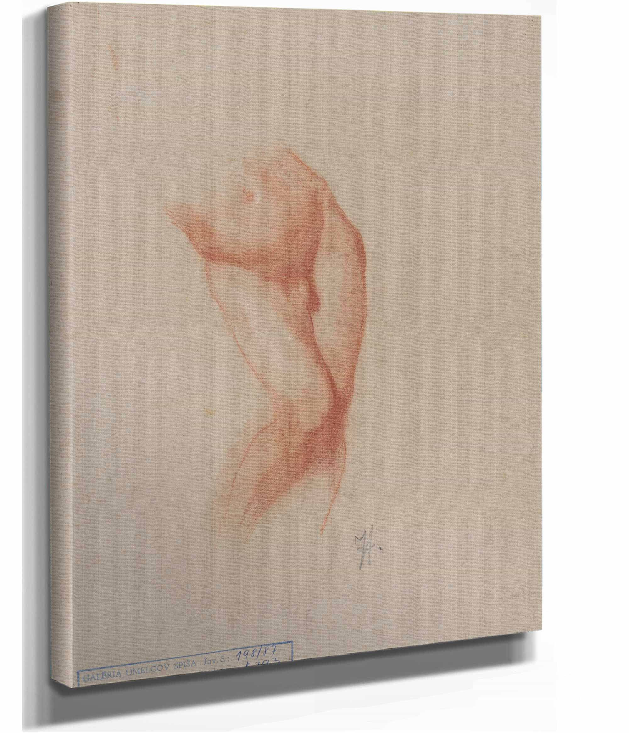 Torso Of A Male Nude by Jozef Hanula - Image 2