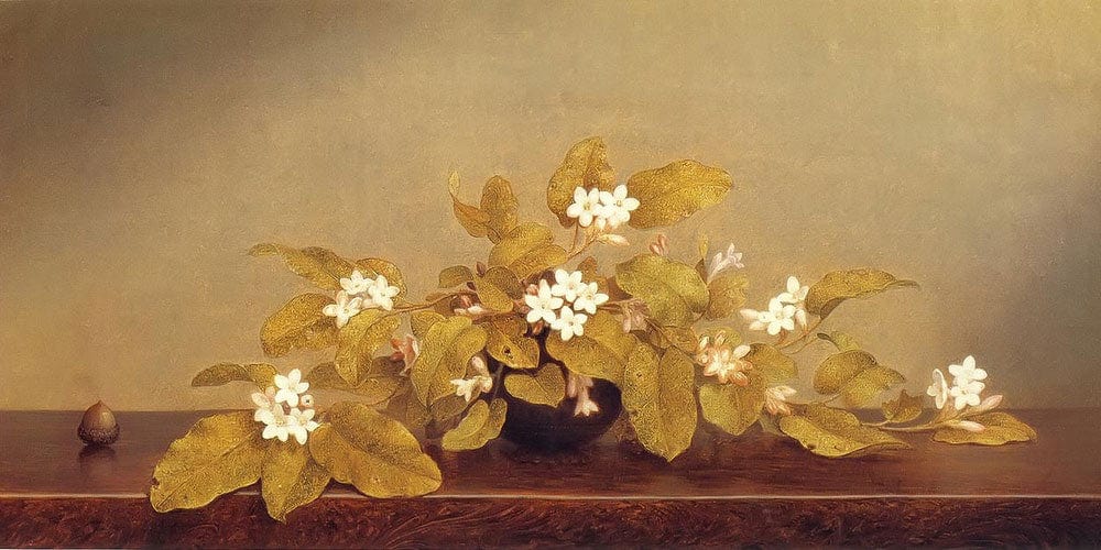 Trailing Arbutus By Martin Johnson Heade - Image 2