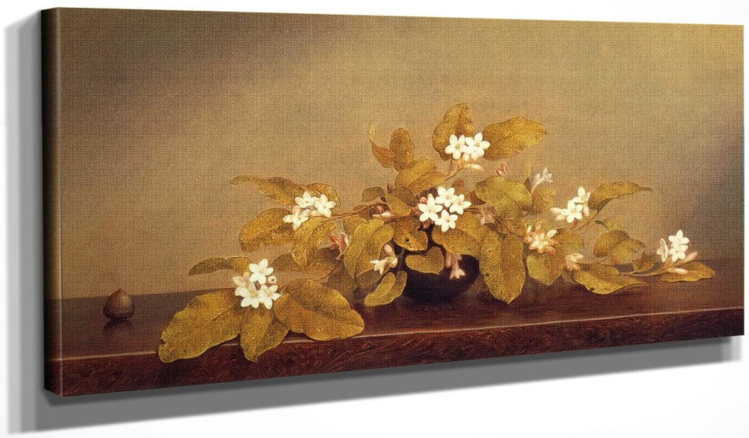 Trailing Arbutus By Martin Johnson Heade - Image 3