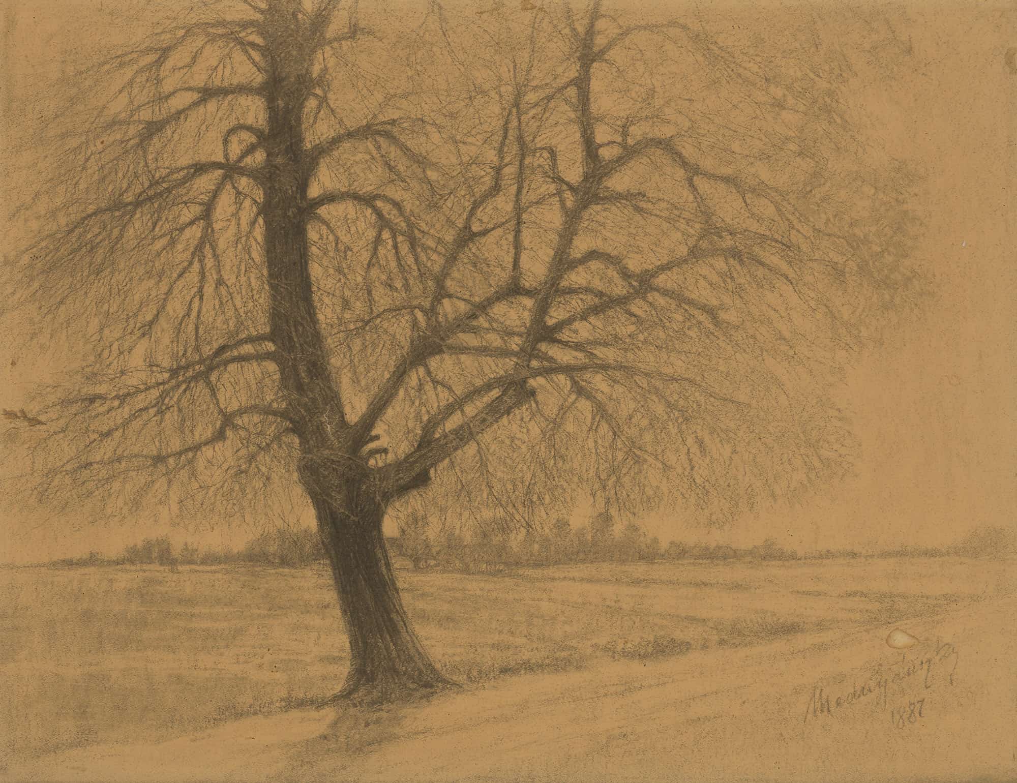 Tree by Ladislav Mednyanszky