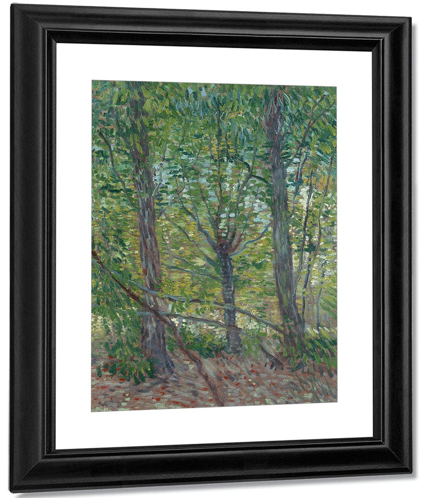 Trees 2 By Vincent Van Gogh - Image 3