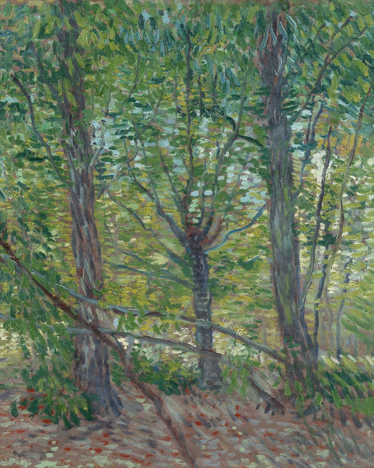 Trees 2 By Vincent Van Gogh - Image 6